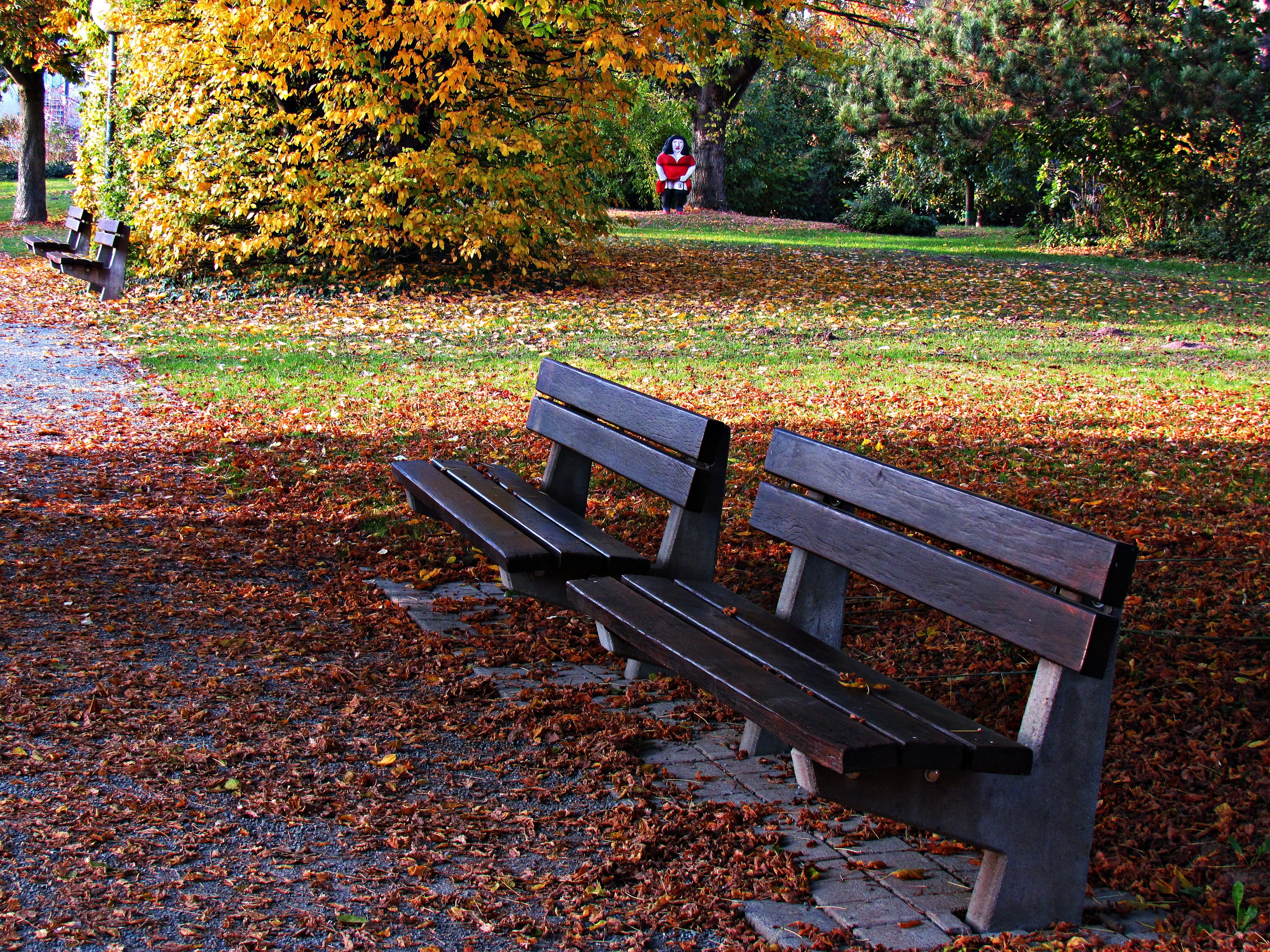 rest, foliage, day, nature, falling, 4K, leaves, no people, plant part, park - man made space, autumn, outdoors, beauty in nature, field, spacer, leaf, HD Wallpaper