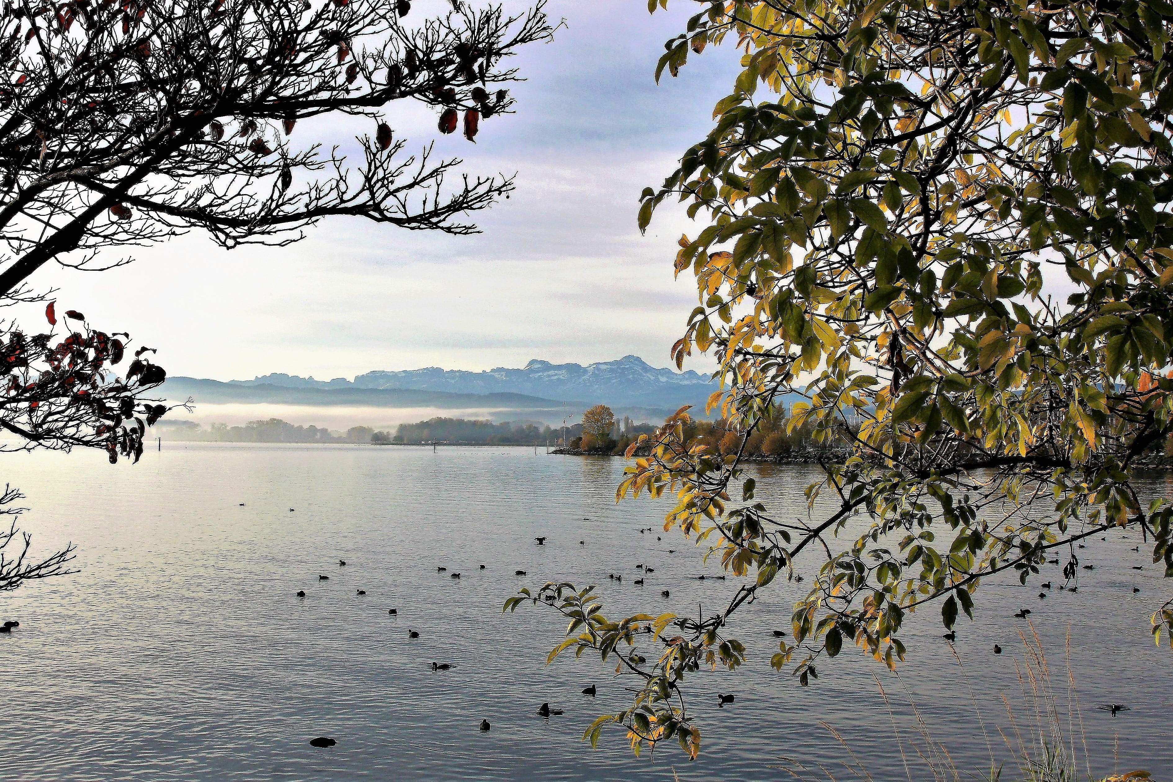 nature, mood, autumn, cloud - sky, sunrise, scenics - nature, landscape, non-urban scene, day, water, the coast, peace of mind, mountain, lake, sky, dawn, HD Wallpaper