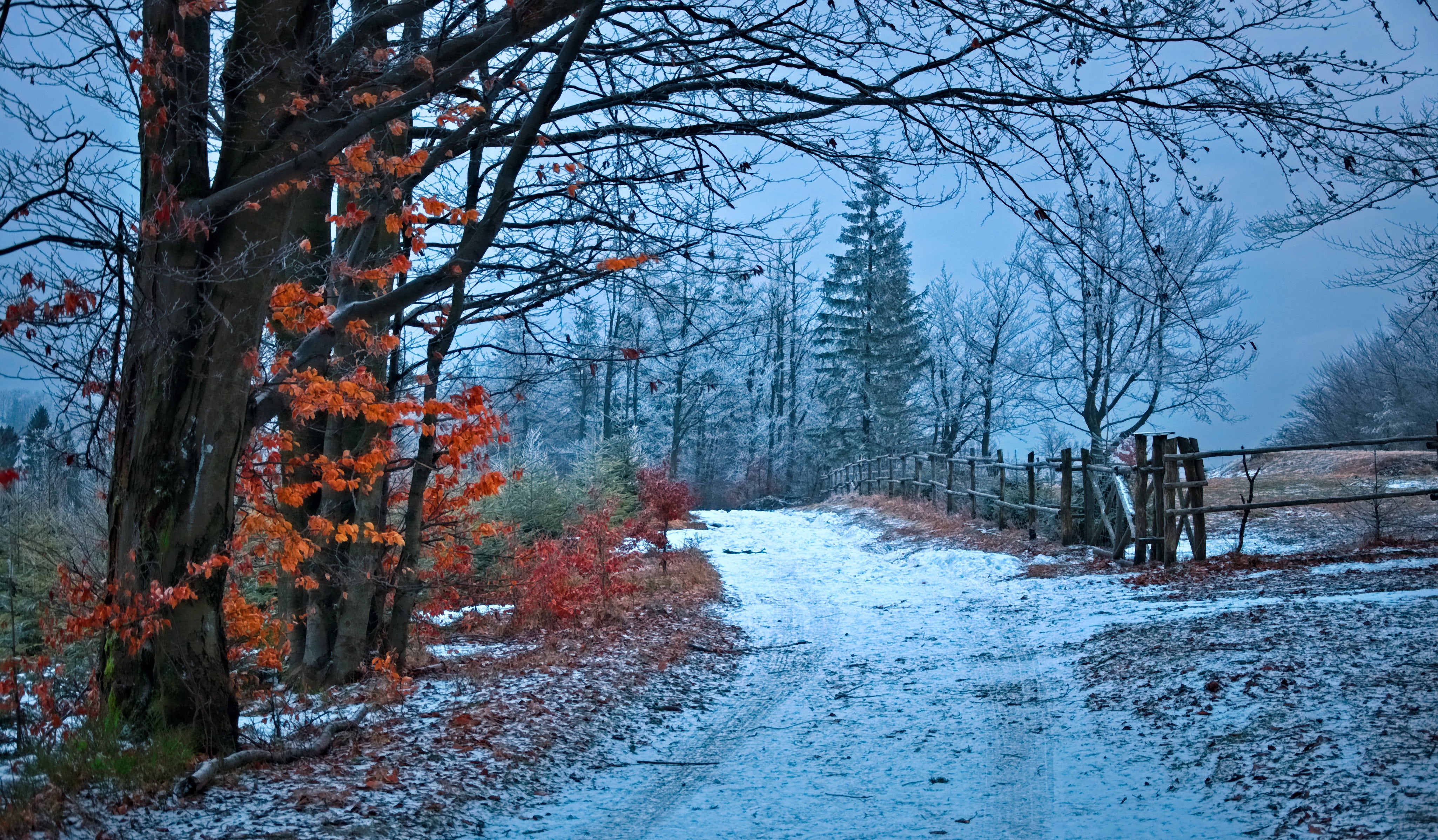 4K, cold temperature, road, snow, winter, trail, nature, beskids, photo, snowy, outdoors, the fence, beauty in nature, frozen, foliage, land, trunk, transportation, HD Wallpaper