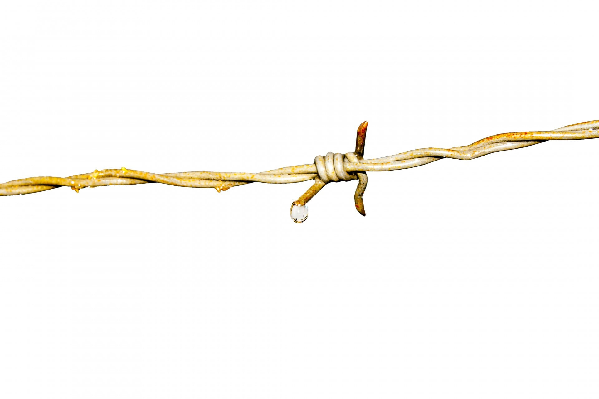close-up, isolation, security, wire, trespass, rusty, no people, barbed, restriction, fence, indoors, barrier, defense, metal, line, separation, tied knot, HD Wallpaper