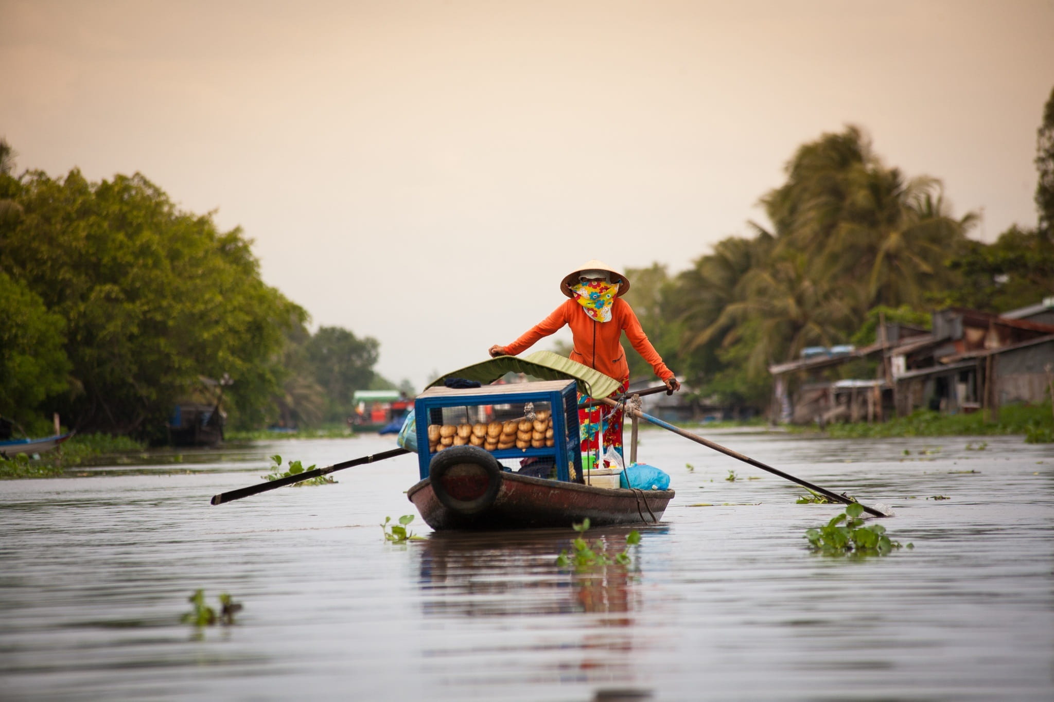 tree, Soc Trang, adults only, one person, riding, boat, 1080P, sky, mode of transportation, Floating Market, river, transportation, plant, men, person, HD Wallpaper