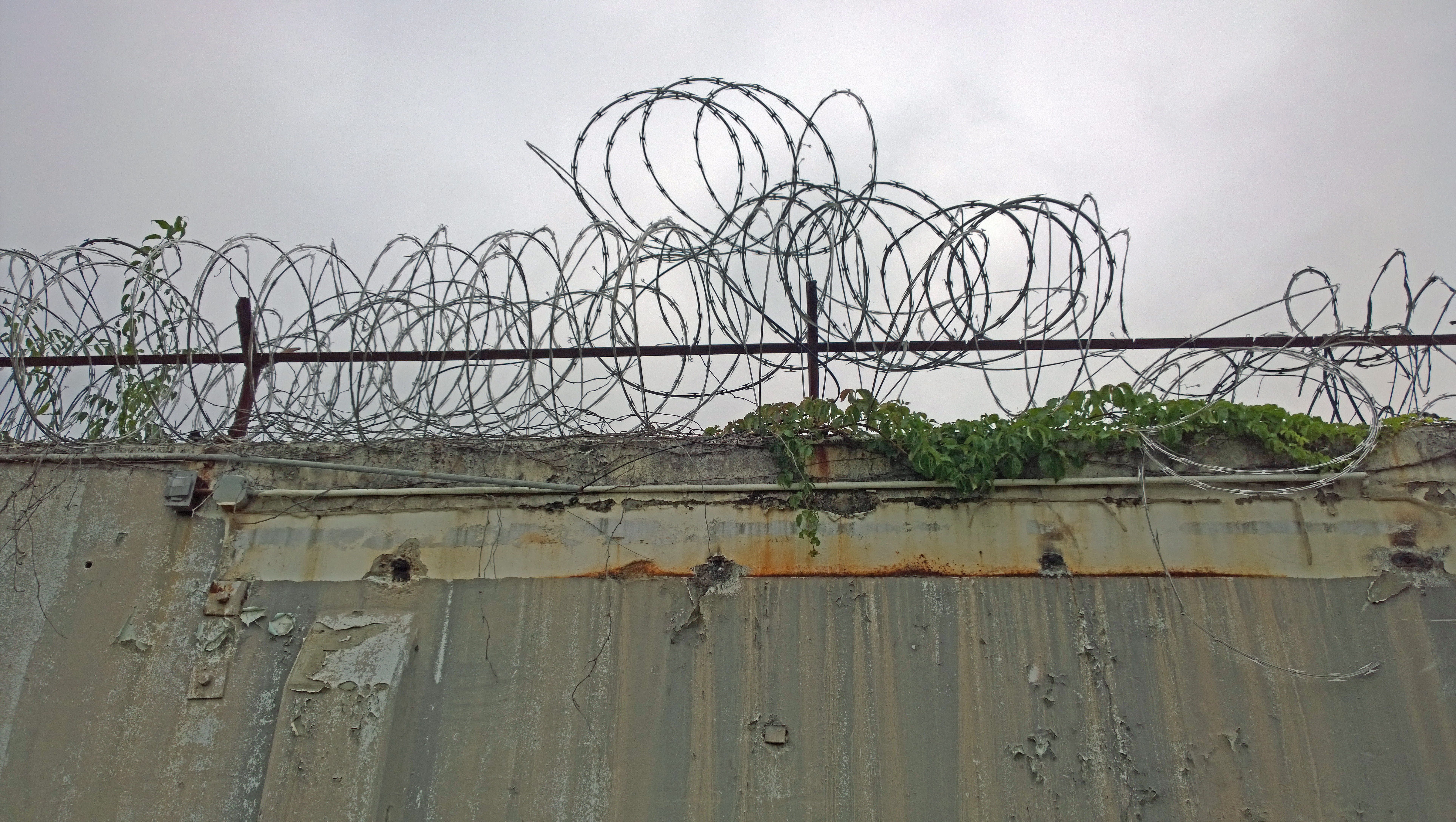 wall, no people, protection, convict, illegal, plant, architecture, abandoned, 8K, barricade, cloud - sky, Fence, crime, terrorist, criminal, metal, low angle view, HD Wallpaper