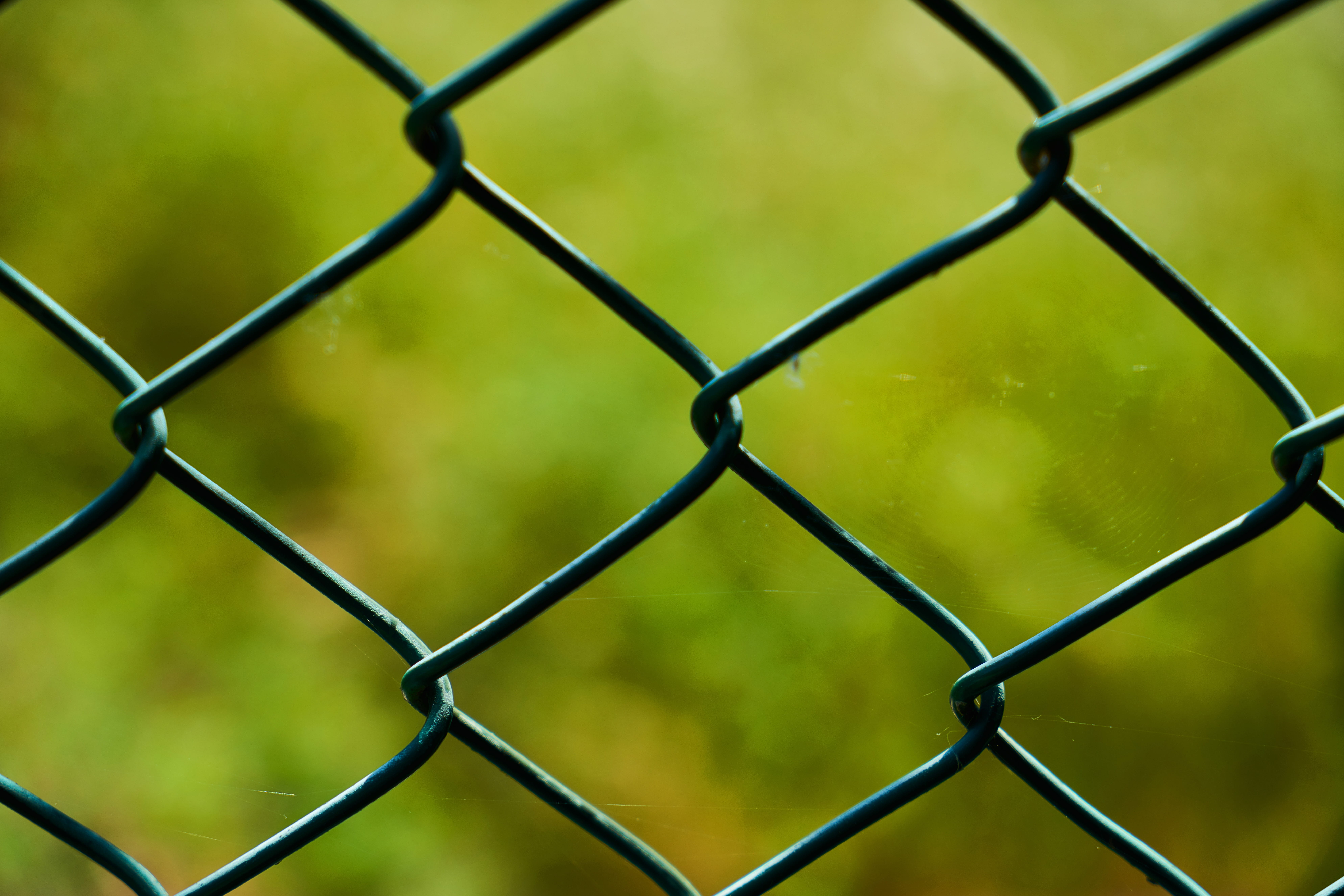 full frame, beautiful, Pattern, copy space, metal, background, texture, rain, horizontal, design, boundary, day, Barbed Wire, chainlink fence, color, safety, HD Wallpaper