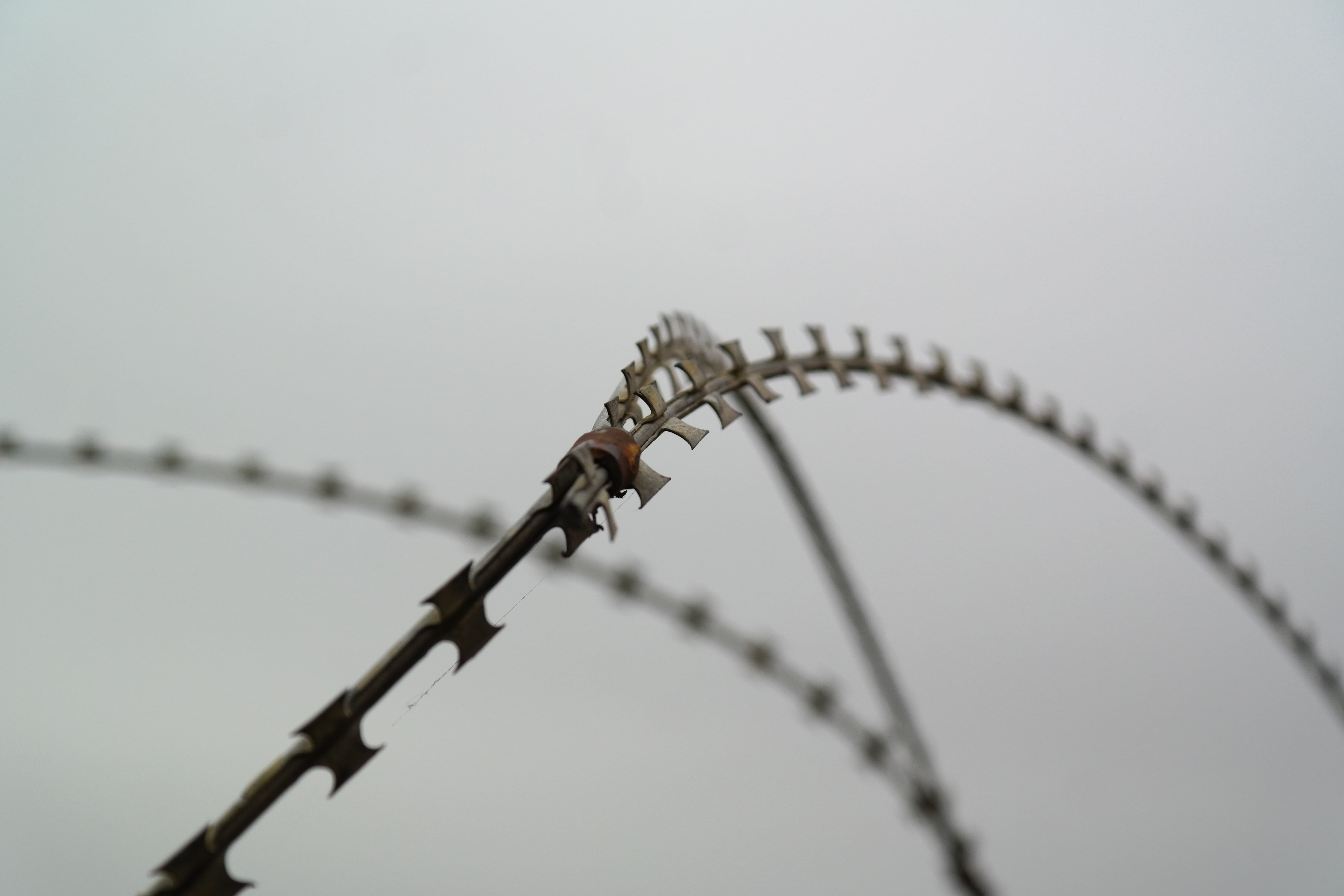 iron - metal, day, Nato, nato wire, obstacle, s wire, military zone, razor wire, nature, Sharp, razor razor sharp, communication, no people, outdoors, alloy, HD Wallpaper