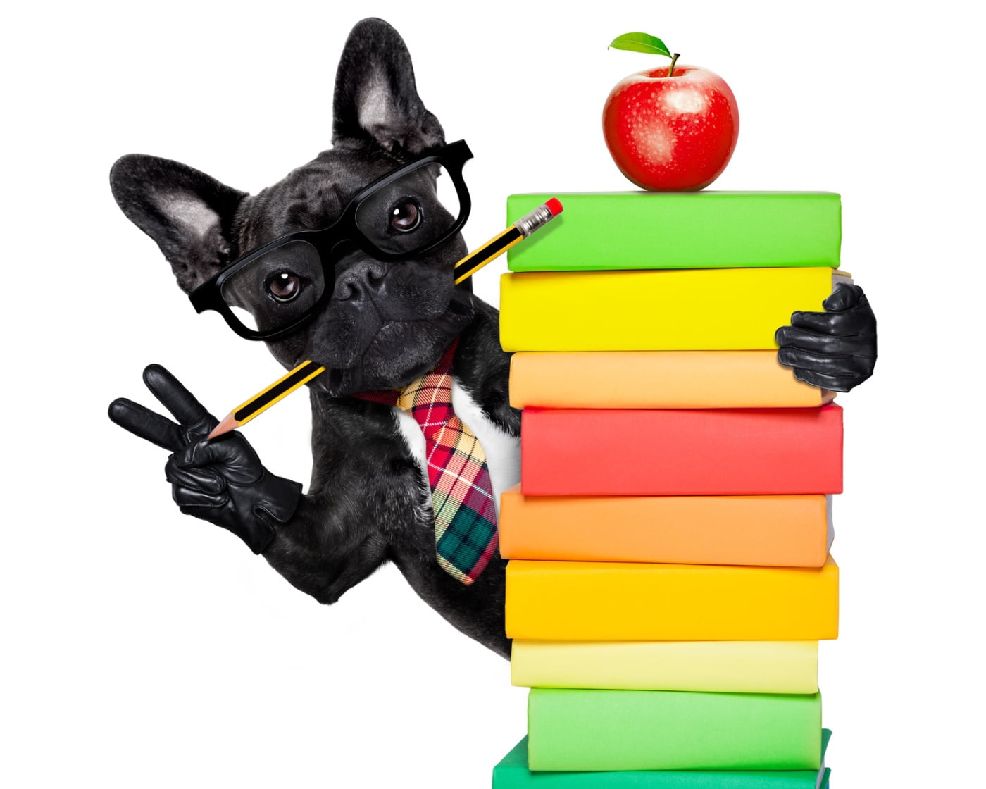 glasses, studio shot, :), indoors, 720P, publication, domestic animals, black color, animal, white background, fruit, apple, apple - fruit, black, no people, HD Wallpaper