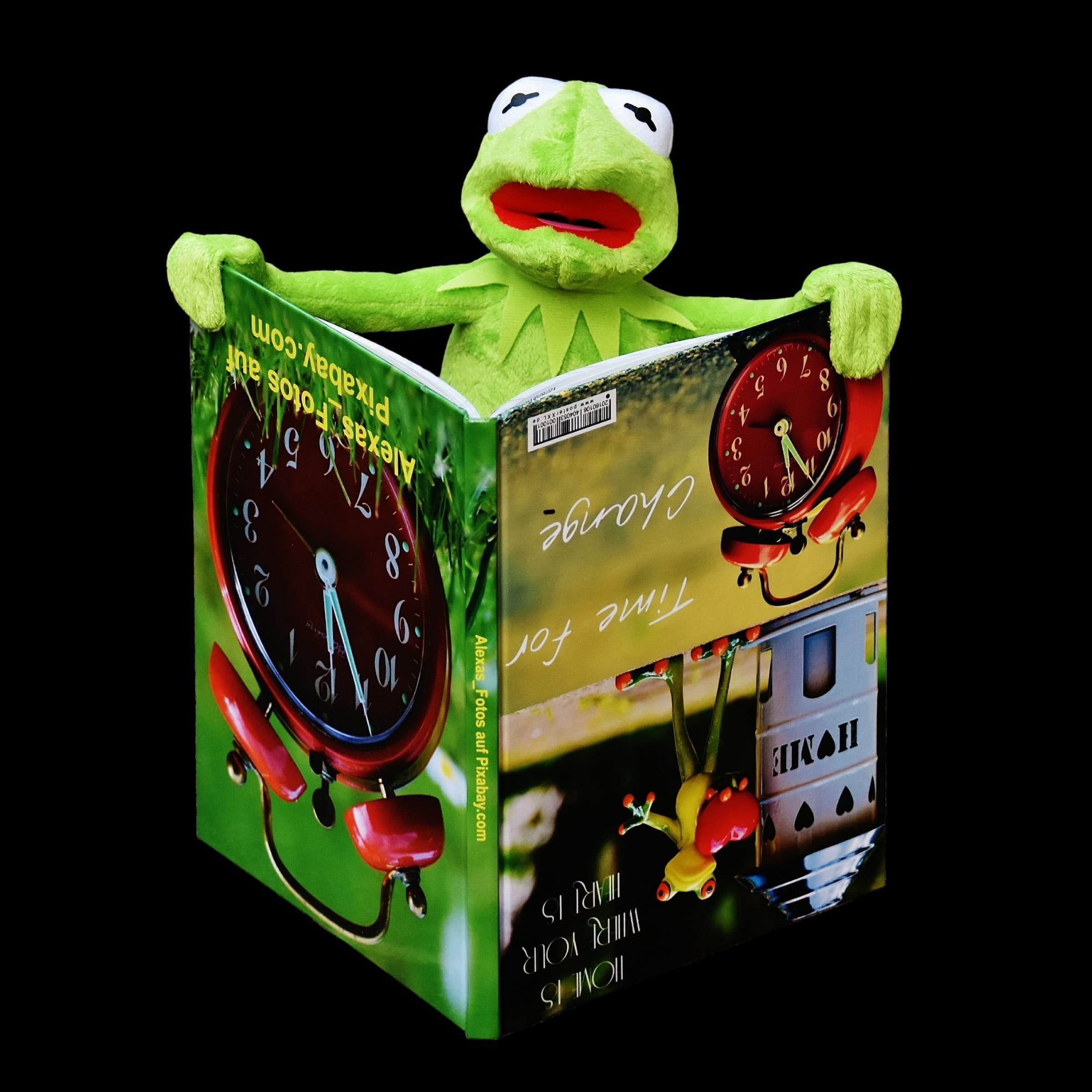 creativity, plush, representation, western script, close-up, book, animal, frogs, 1080P, green color, arts culture and entertainment, illuminated, frog, Phone HD Wallpaper