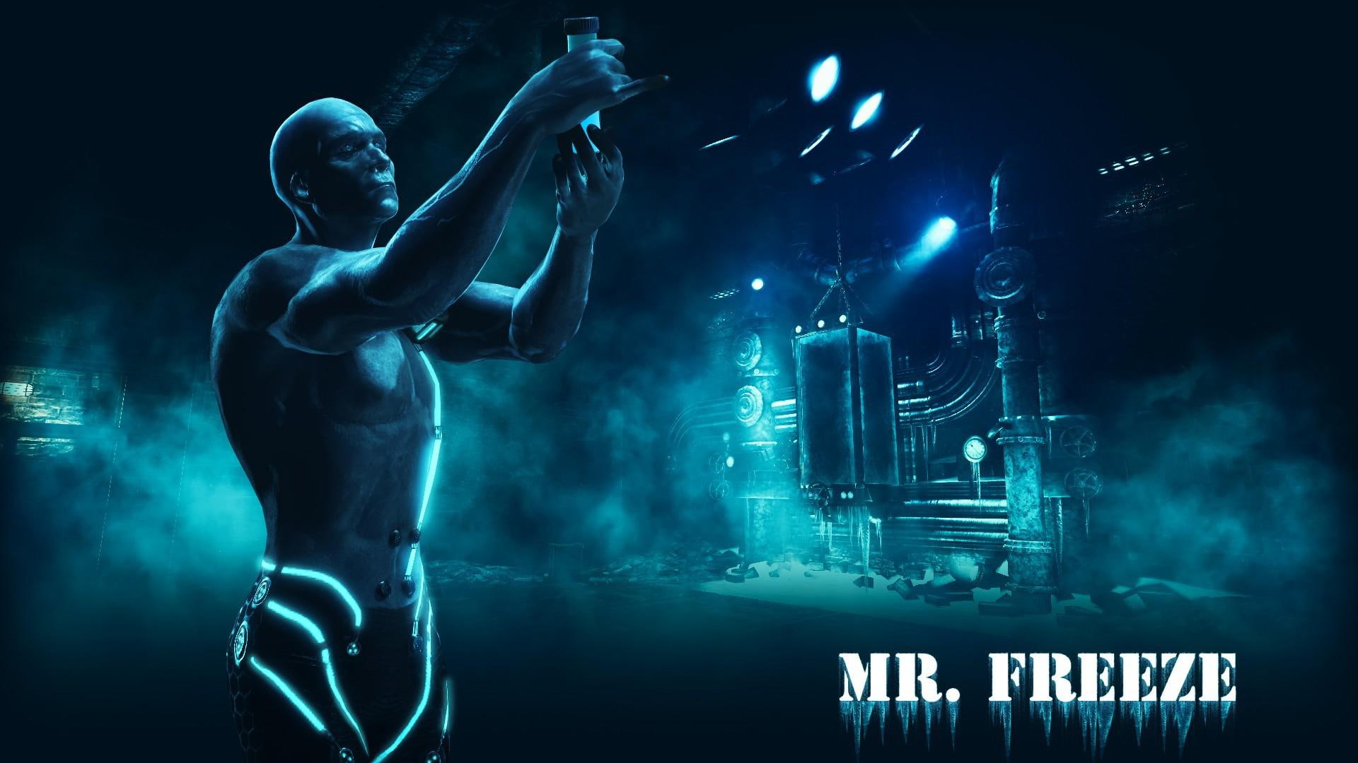 freeze, 1080P, city, games, batman: arkham city, batman, mr, photo, 1920x1080, mr. ze, arkham, HD Wallpaper