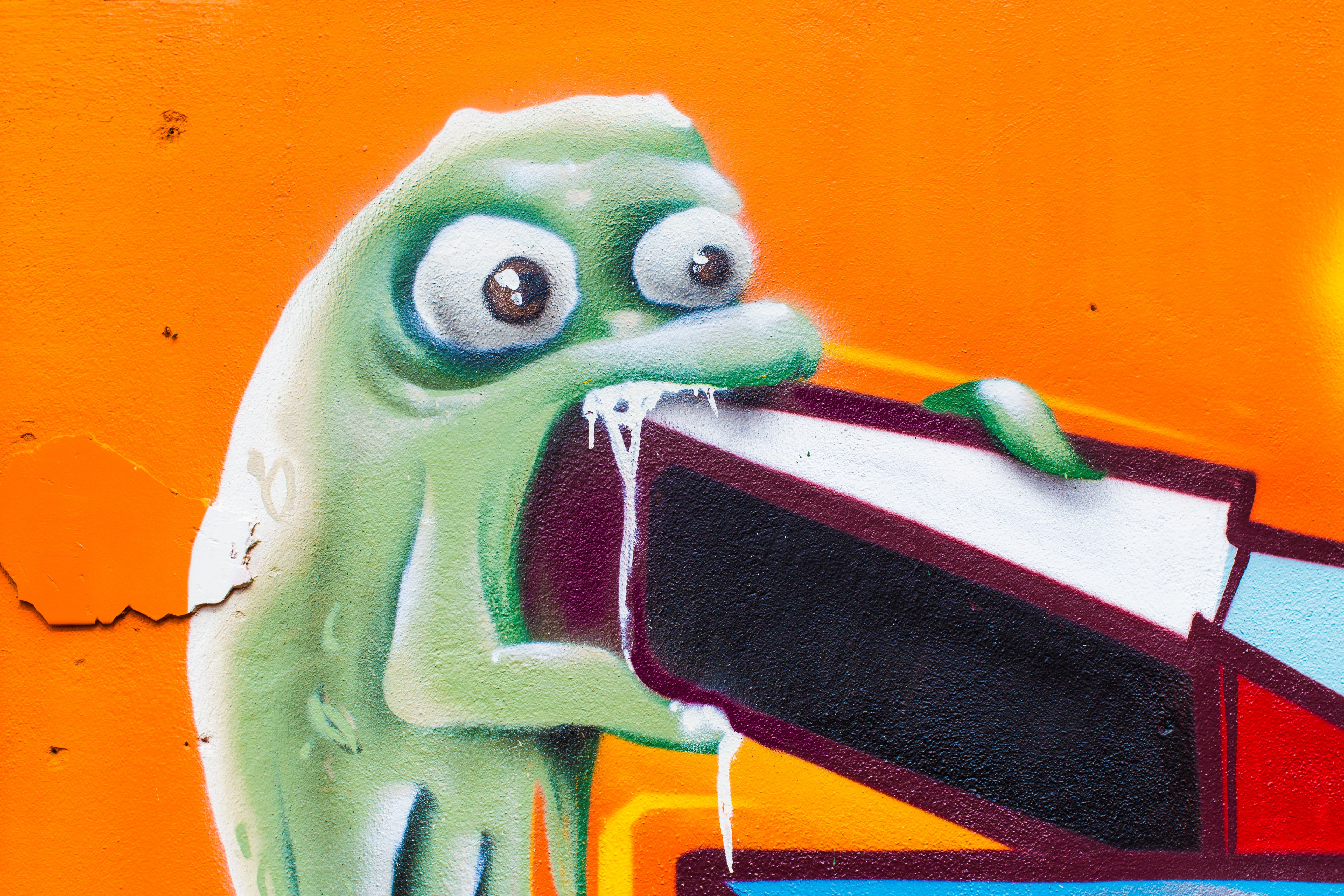 slobber, wall - building feature, no people, green, art and craft, graffiti, representation, animal head, nature, parrot, color, spray, eyes, one animal, HD Wallpaper