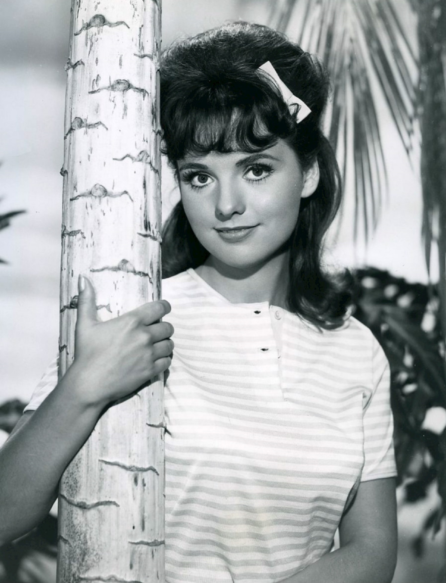 focus on foreground, dawn wells, women, trunk, tree, actress, comedy, hollywood, casual clothing, television, retro, lifestyles, tv, 1080P, looking at camera, Phone HD Wallpaper