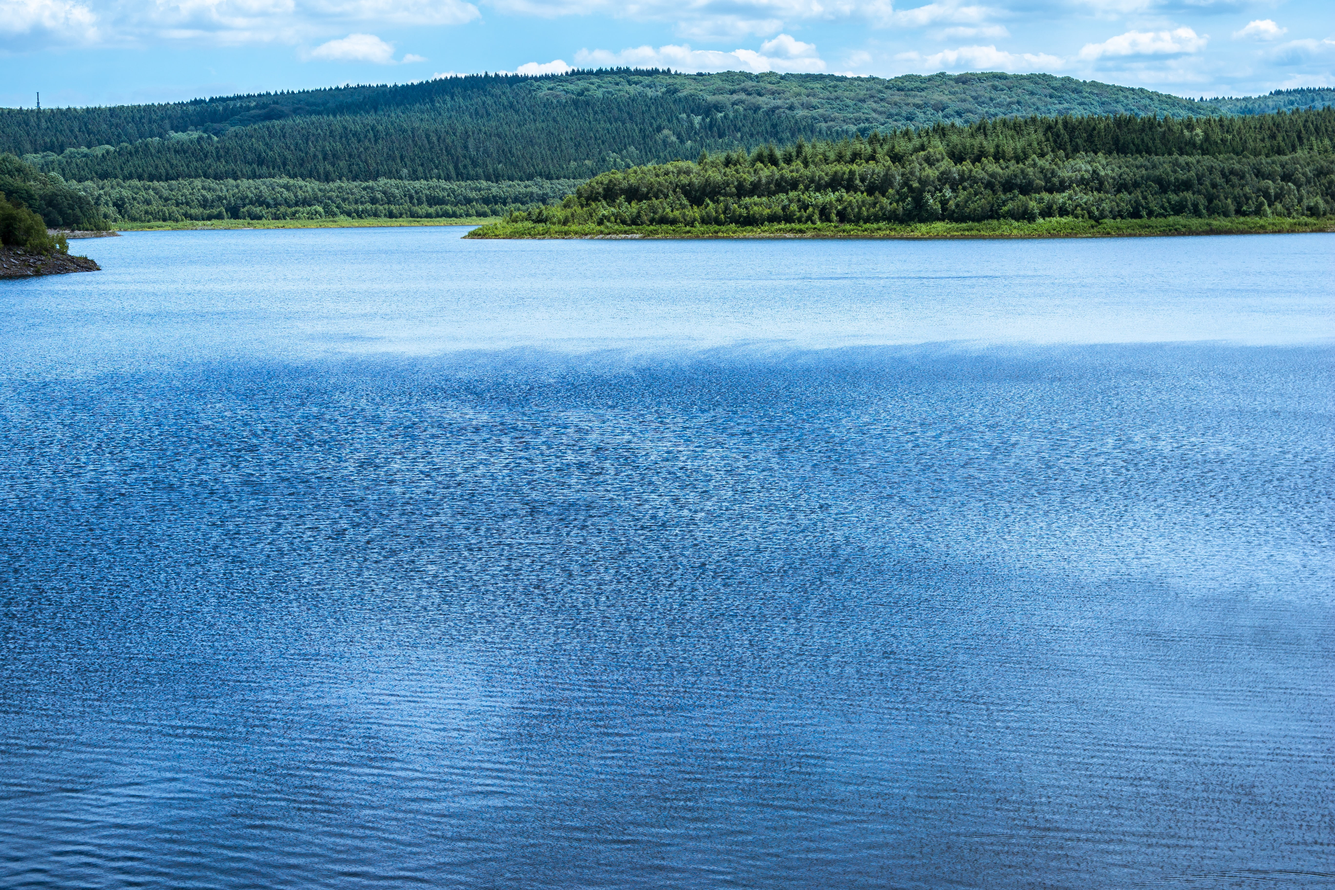 water power, pine tree, lake, tranquil scene, pine woodland, no people, mountain, blue, tree, dam, woe creek dam, coniferous tree, nature, idyllic, ruffled, HD Wallpaper