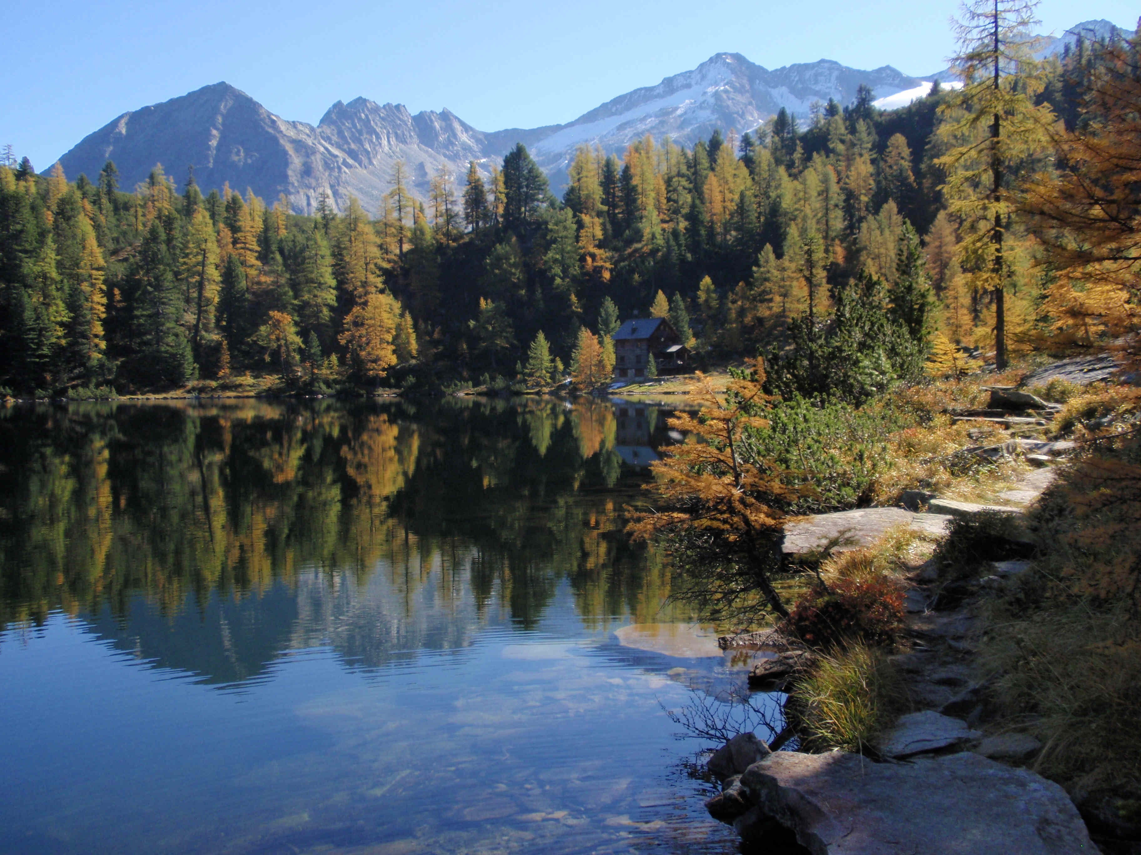 tree, forest, 2K, sky, tranquil scene, lake, scenics - nature, waterfront, gastein, mountains, plant, austria, mountain range, water, mountain, tranquility, HD Wallpaper