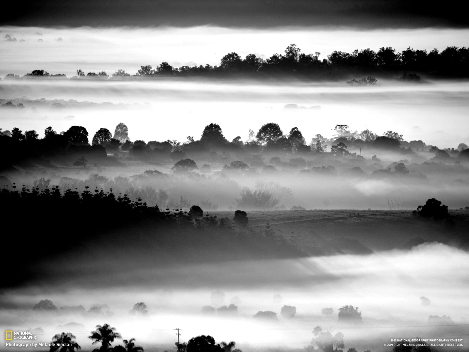 non-urban scene, black, cloud - sky, hazy, environment, mist, plant, landscape, beauty in nature, outdoors, 720P, tree, white, sky, tranquil scene, beaded, HD Wallpaper