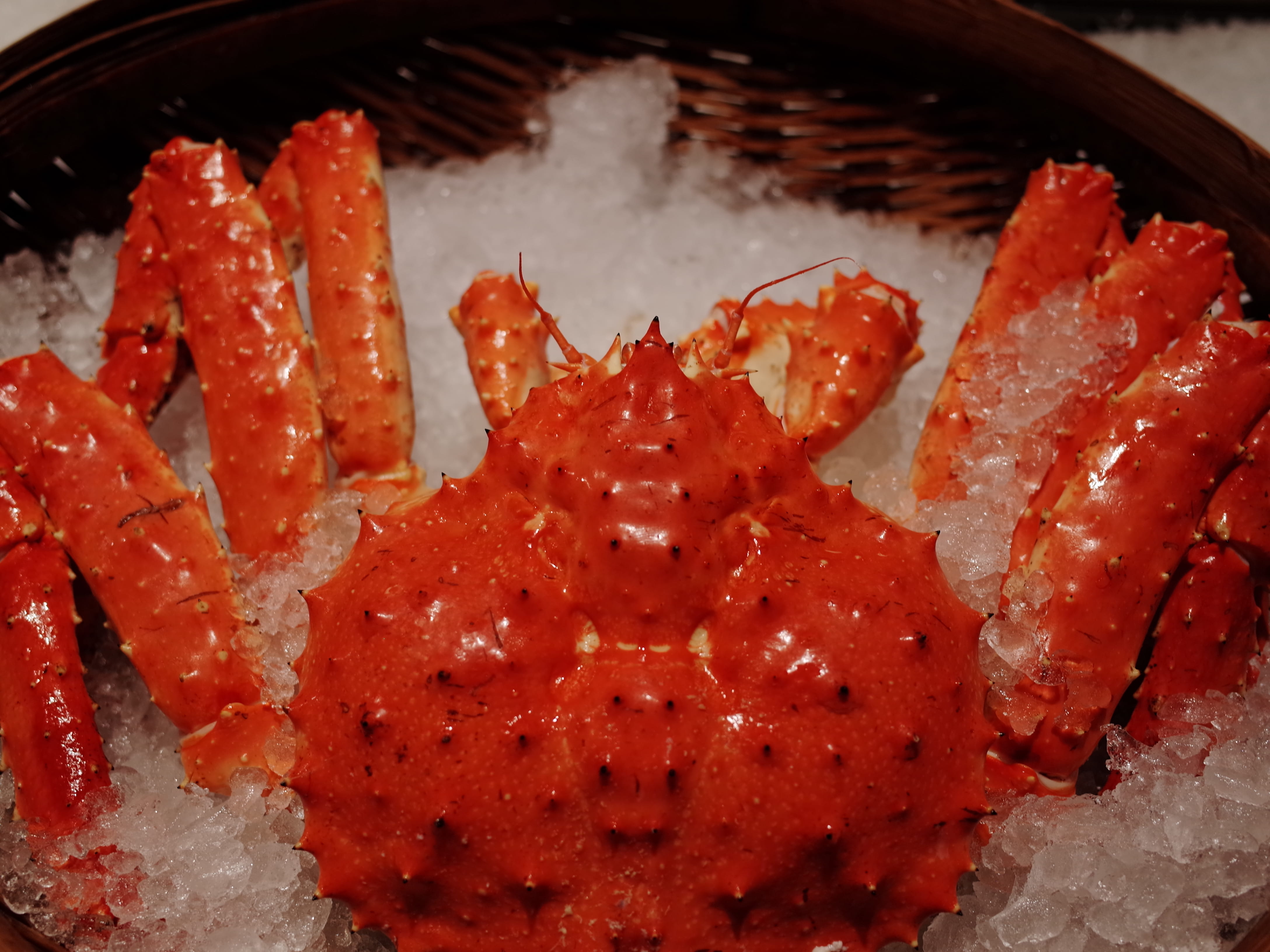 pasta, invertebrate, mammal, wellbeing, fish, crab, still life, swordfish, king crab, serving size, no people, meat, plate, seashell, ice, freshness, food, HD Wallpaper