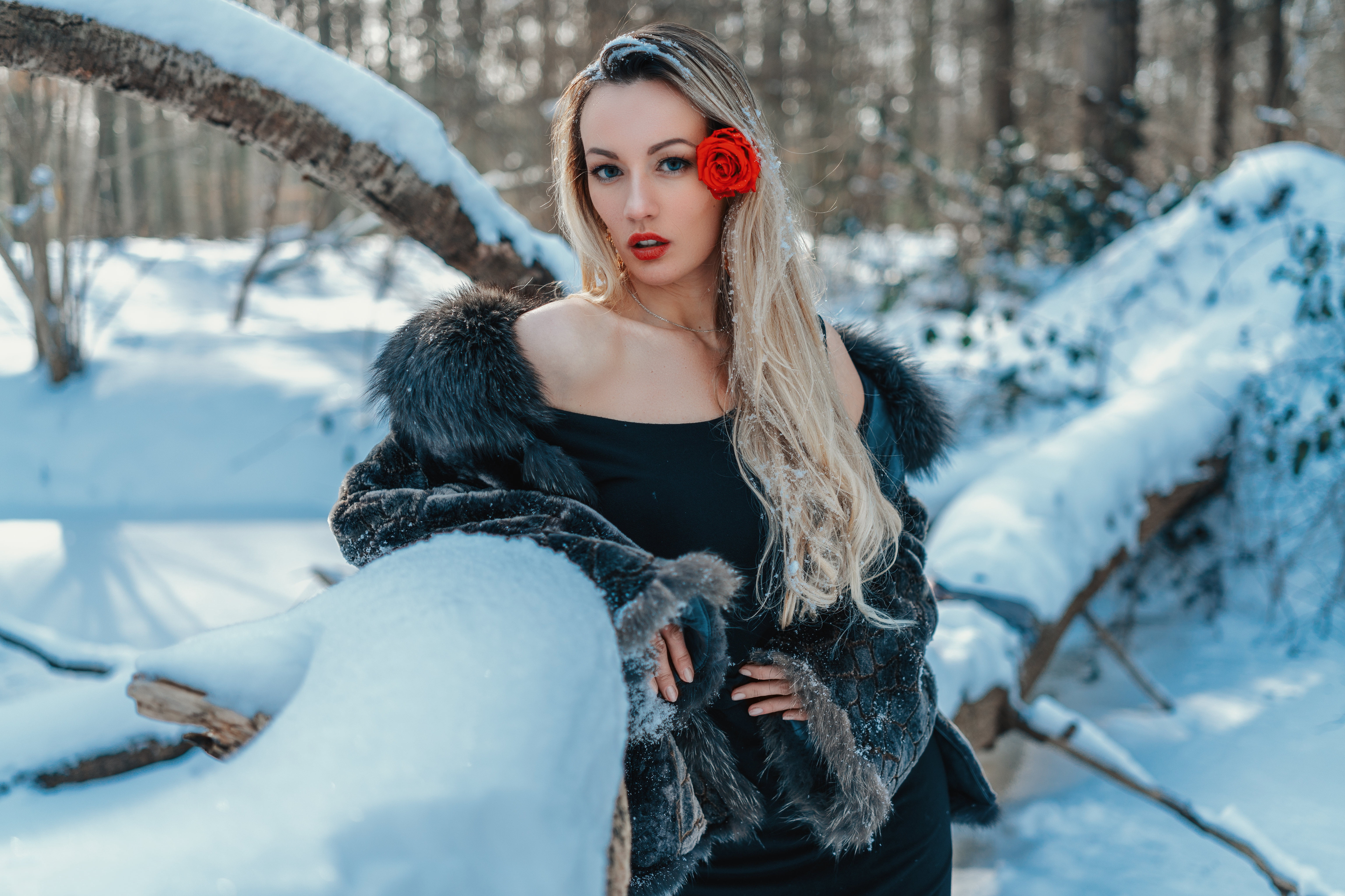 branch, parted lips, 5K, model, coats, looking at viewer, women, dress, blue eyes, portrait, winter, lipstick, bare shoulders, red lipstick, nature, open mouth, HD Wallpaper