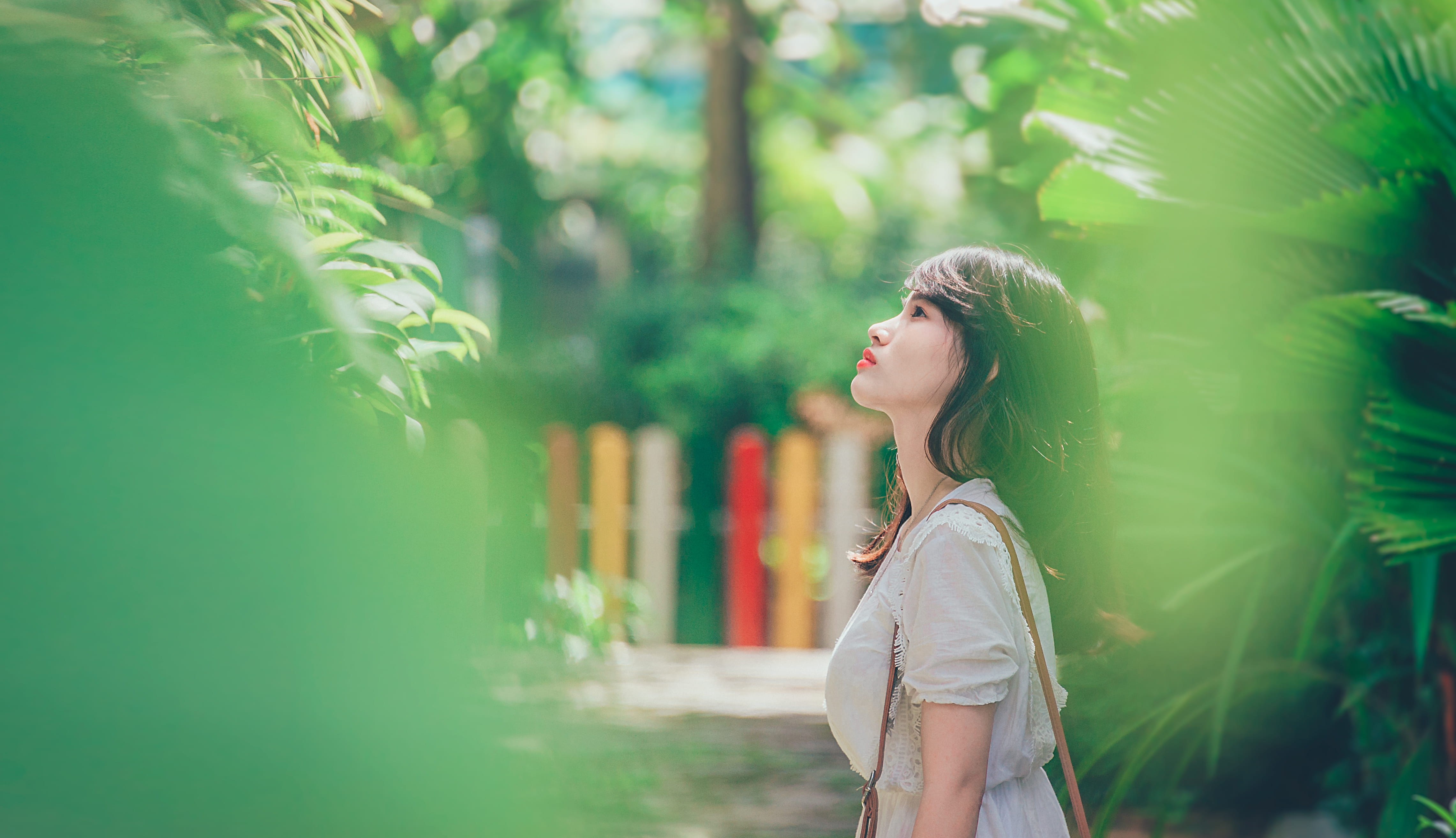 contemplation, hairstyle, photography, haired, woman, hair, casual clothing, female, beauty, leisure activity, young adult, tree, young, top, girl, lady, HD Wallpaper