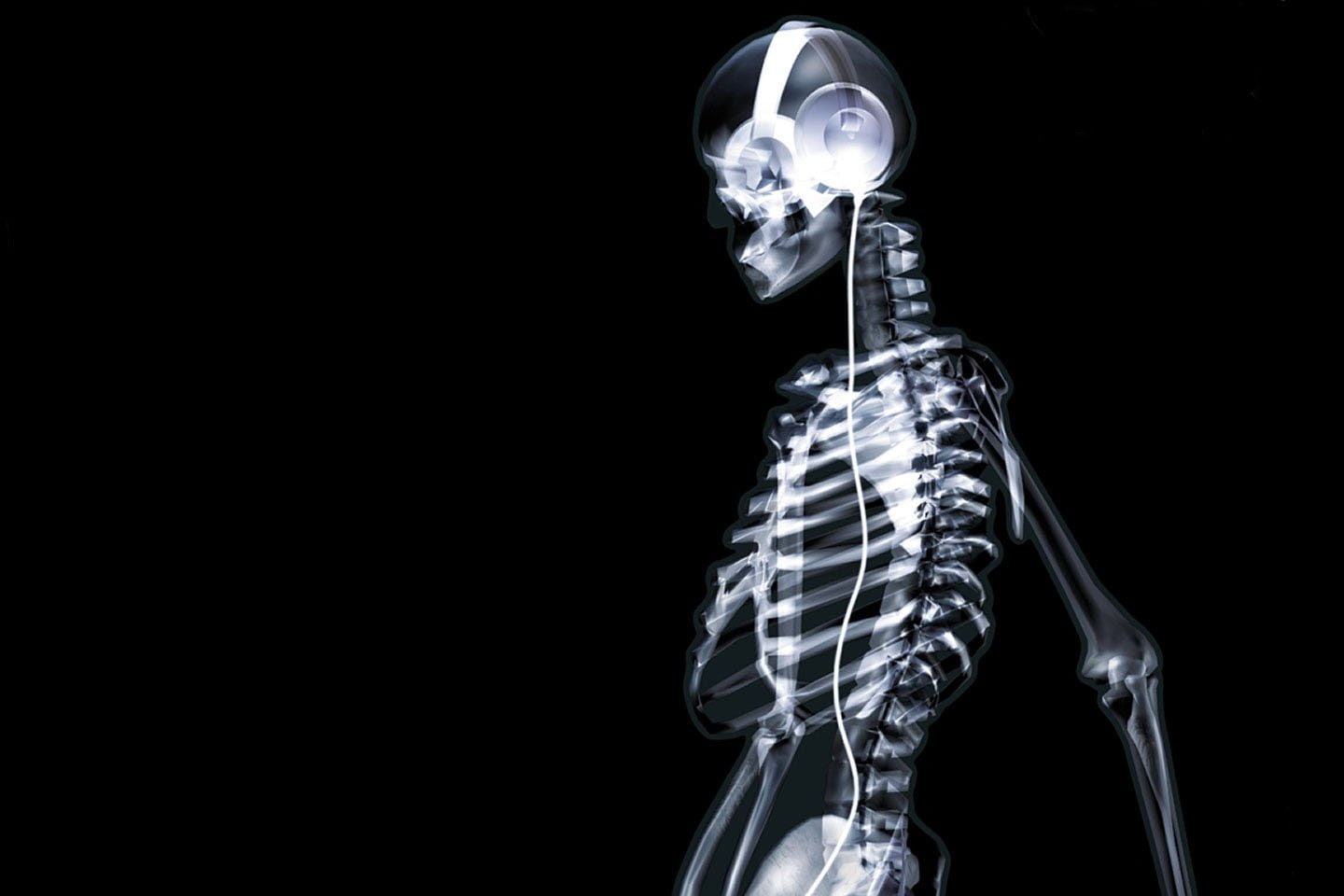 futuristic, no people, bone, copy space, studio shot, human representation, healthcare and medicine, headphones, indoors, human skeleton, black background, HD Wallpaper