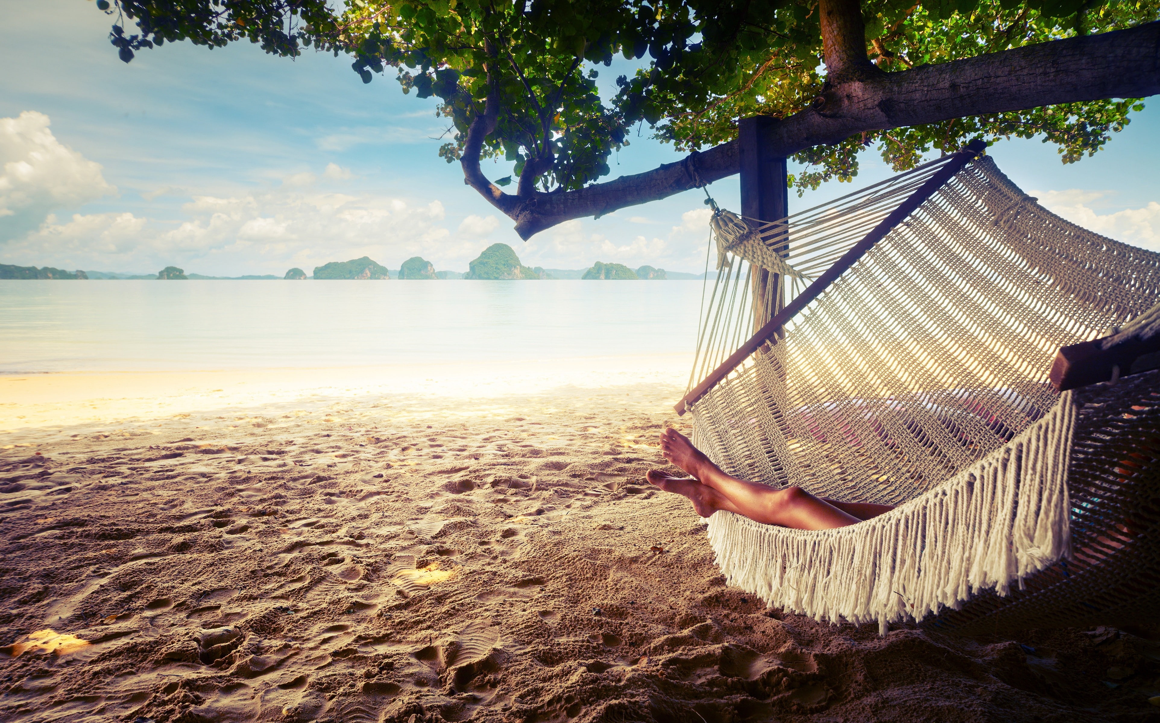 trees, day, landscape, beauty in nature, tranquil scene, hammocks, tree, outdoors, sea, beach, sand, scenics - nature, tranquility, sunlight, plant, 4K, HD Wallpaper