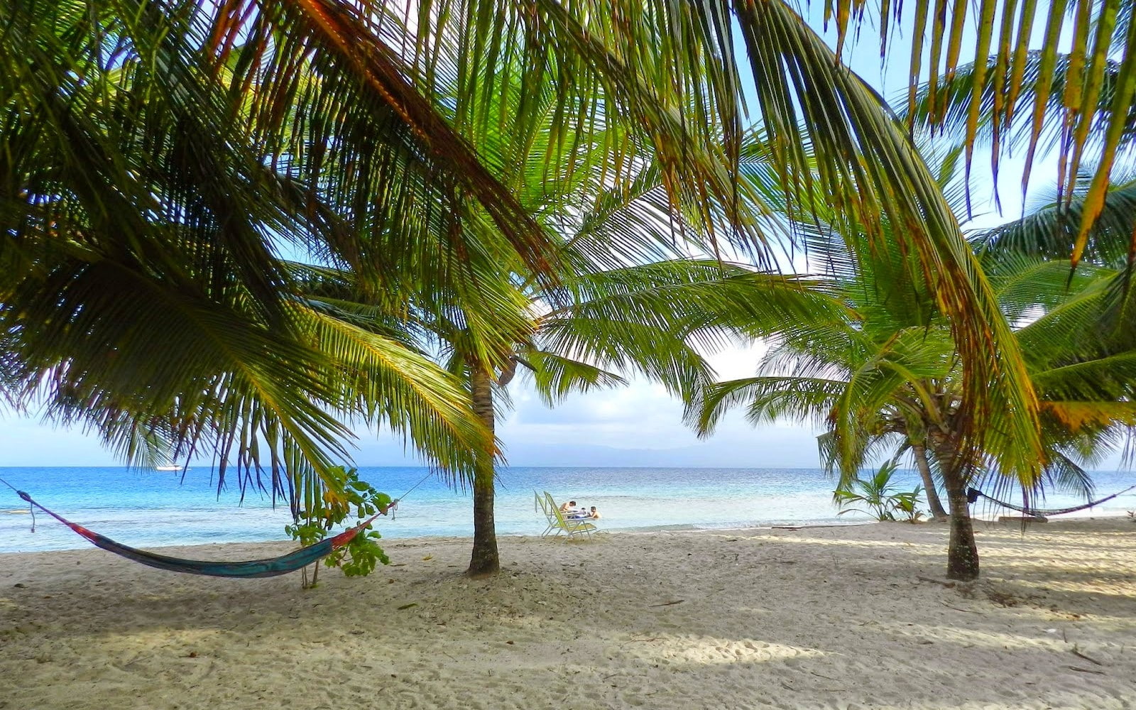 land, tropical tree, nature, outdoors, tranquility, water, beach, tropical climate, scenics - nature, palm trees, Panama, coconut palm tree, tree, morning, HD Wallpaper