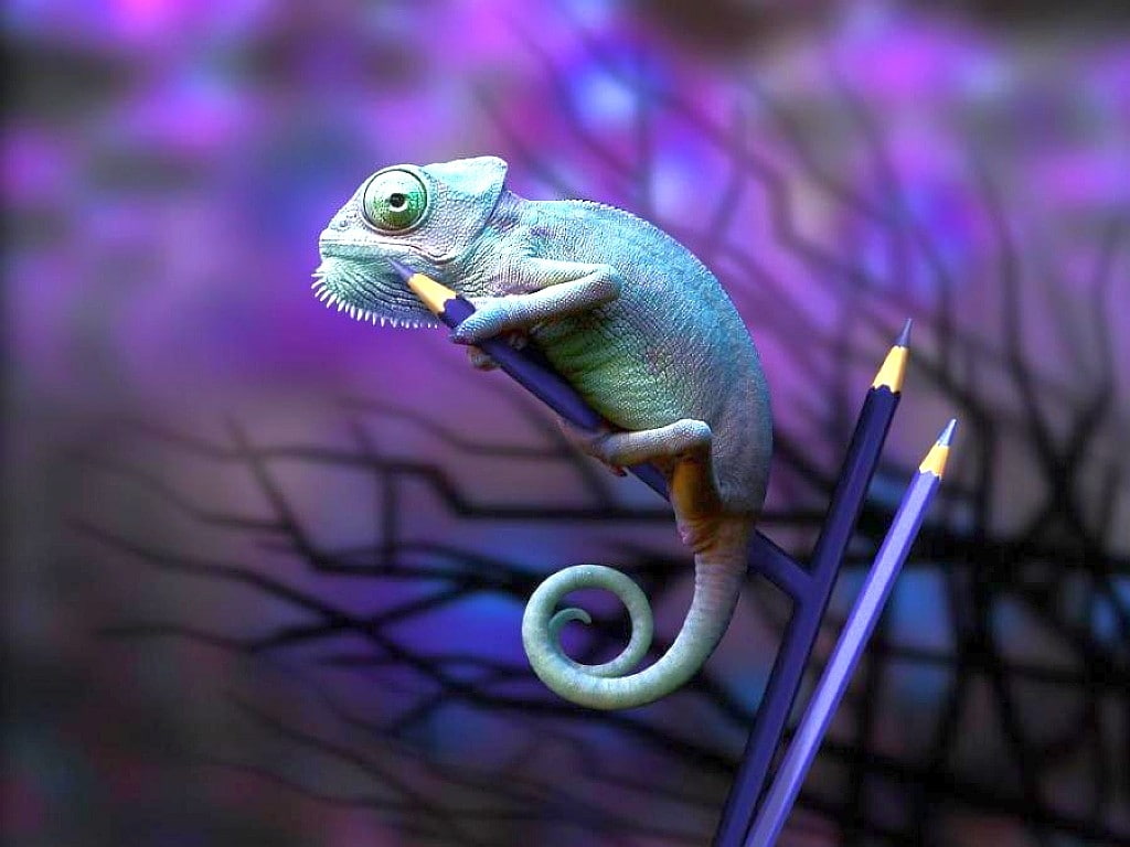 animals, picture, cool, amazing, 480P, lizard, hd, HD Wallpaper