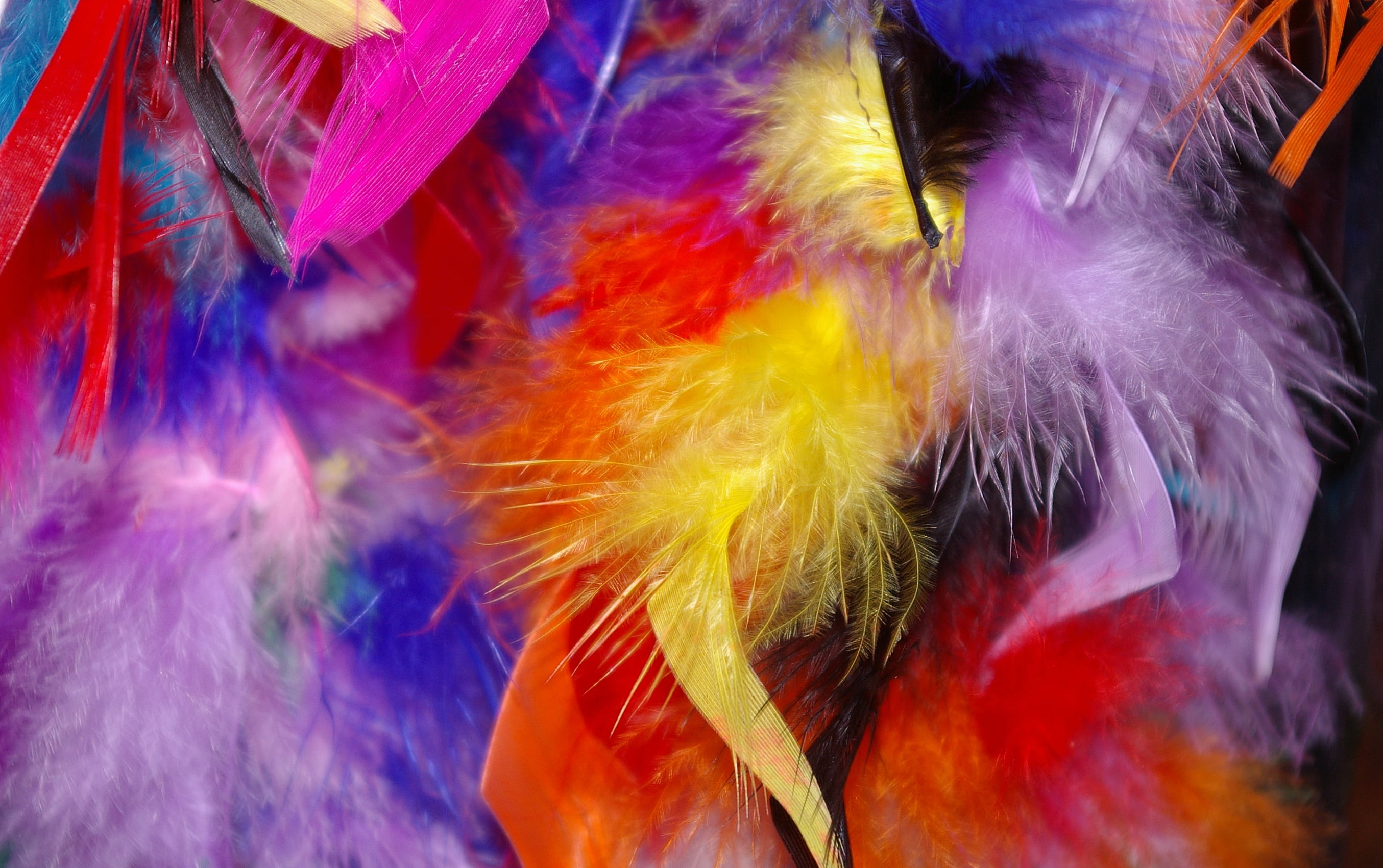 jewellery, bird feather, decorative, pattern, spirituality, close-up, colorful feathers, feather, religion, no people, multi colored, arts culture and entertainment, HD Wallpaper
