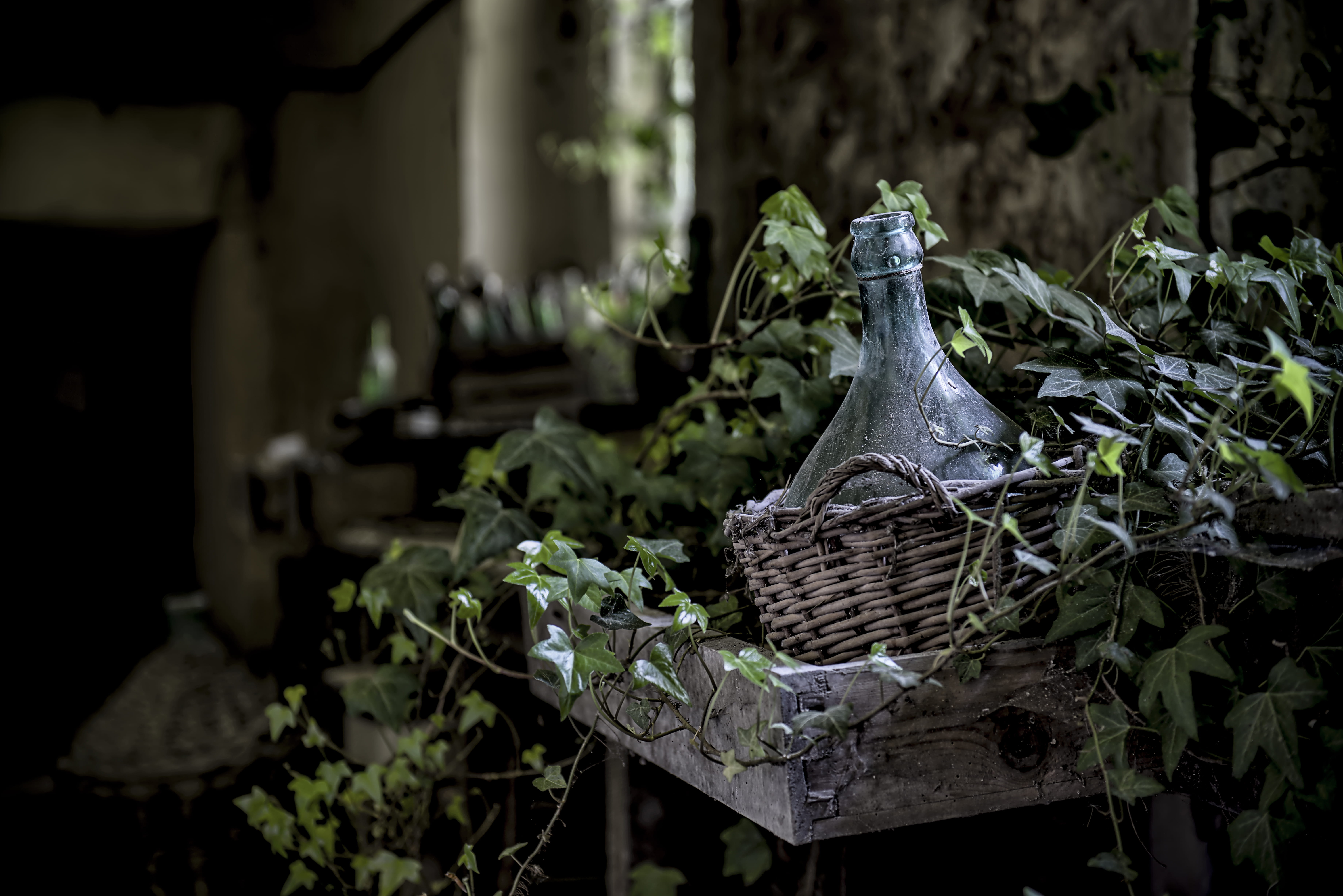 wicker basket, wine cellar, carafe, growth, day, plant part, wine bottle, 5K, glass, food and drink, food, wood - material, ivy, vegetable, leaf, outdoors, HD Wallpaper