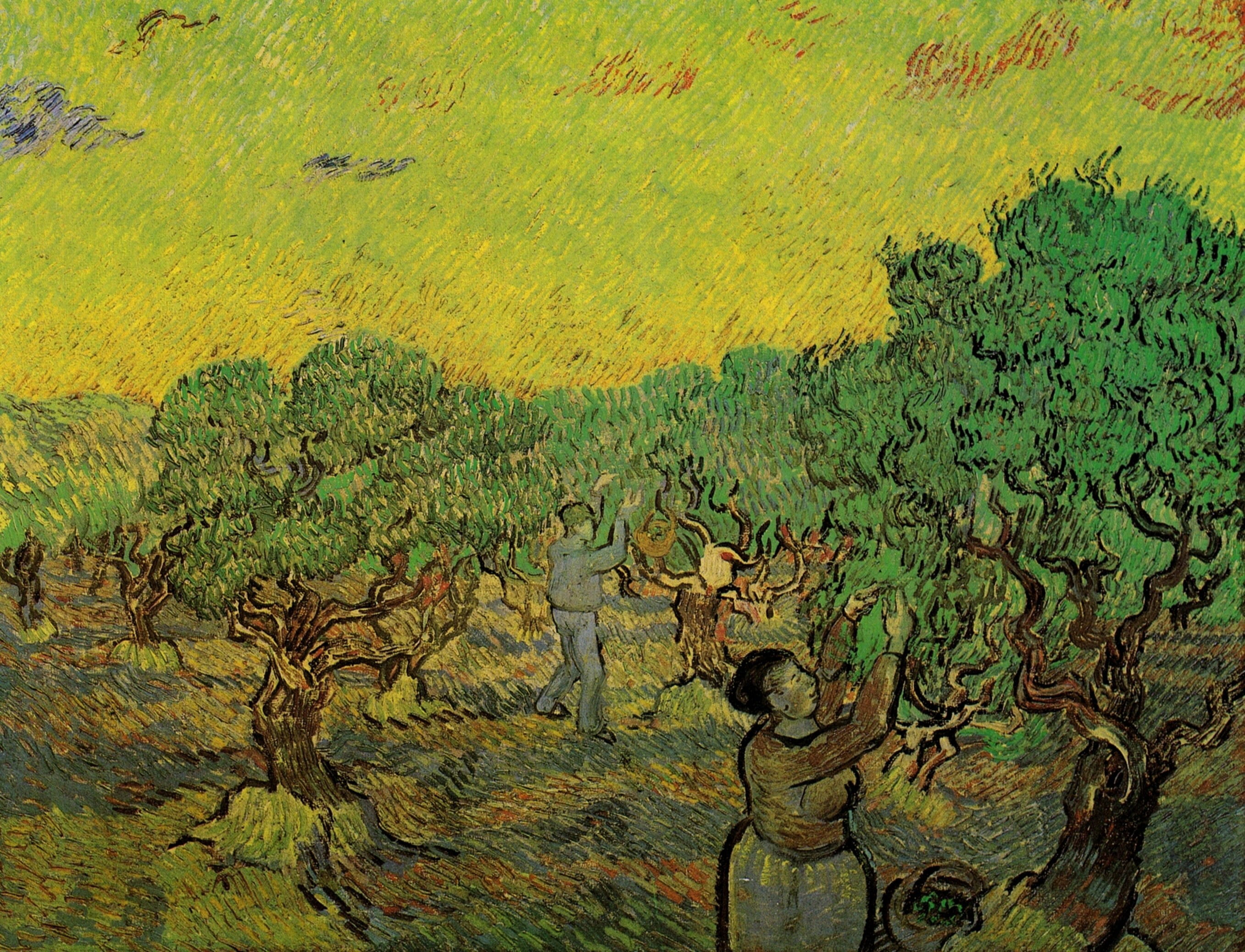 collectors of berries, Olive Grove with, Vincent van Gogh, 2K, Picking Figures, HD Wallpaper