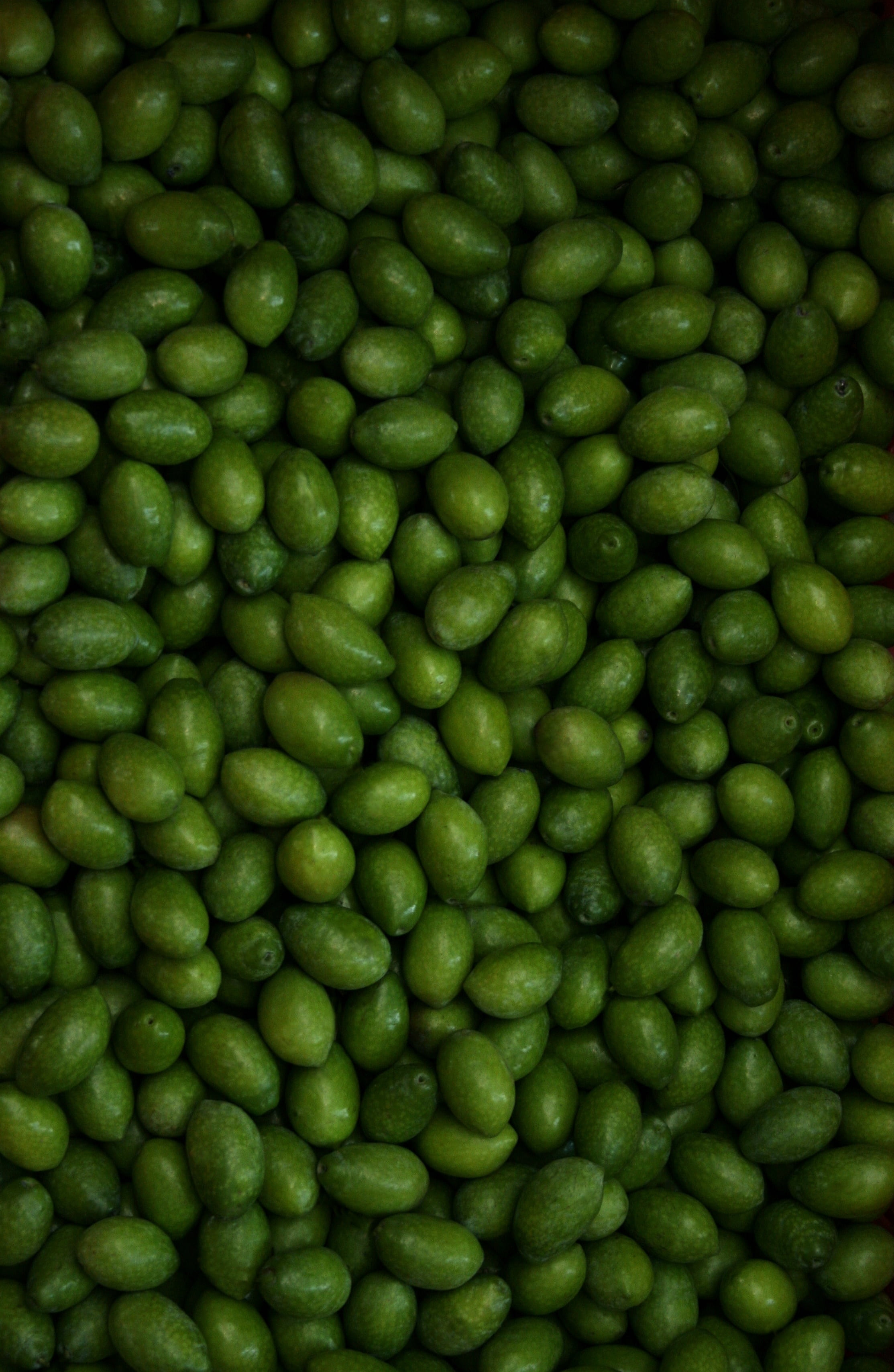 seed, harvesting olives, textured, still life, green Color, healthy eating, puglia, food, olives, large group of objects, cultivate, indoors, agriculture, Phone HD Wallpaper