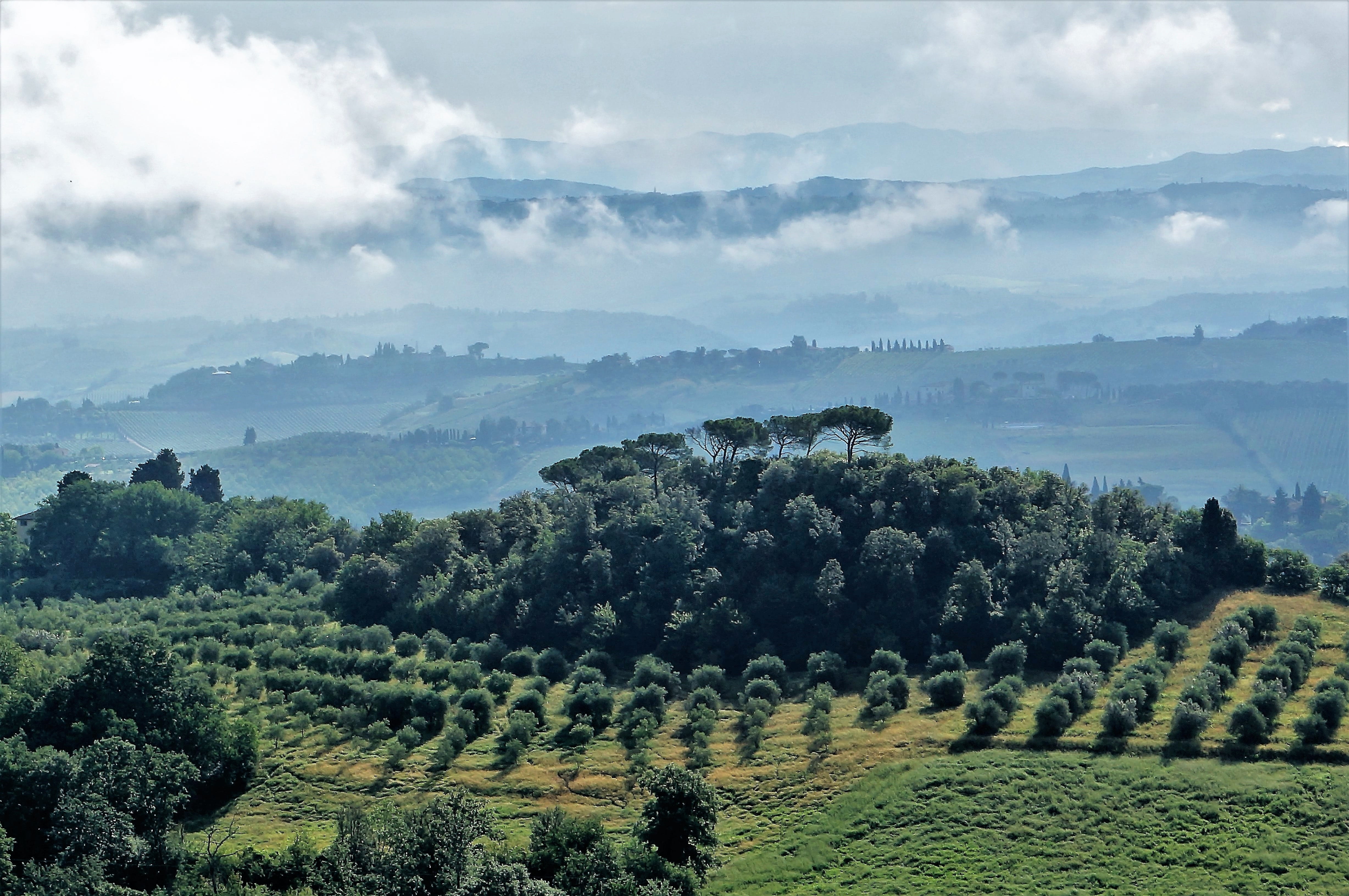 landscape, land, day, tranquil scene, sky, beauty in nature, 4K, growth, italy, tree, scenics - nature, green color, cloud - sky, tranquility, plantation, HD Wallpaper