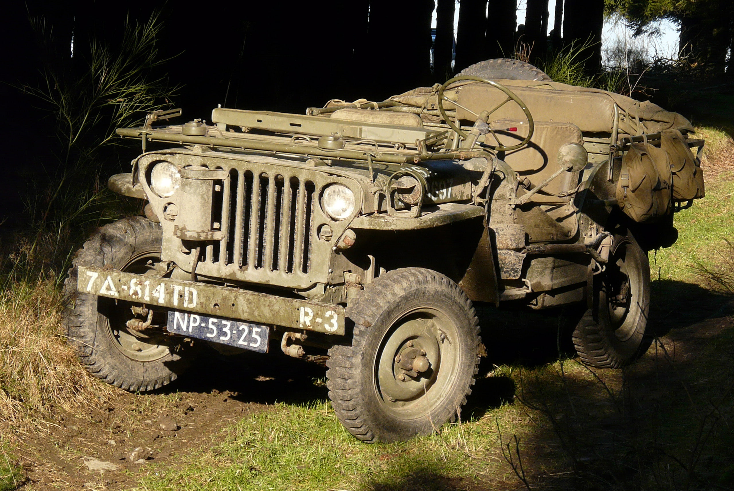 " Willis-MVandquot;, war, car, Second, Willys MB, army, road, Jeep, world, patency, times, high, 2K, HD Wallpaper