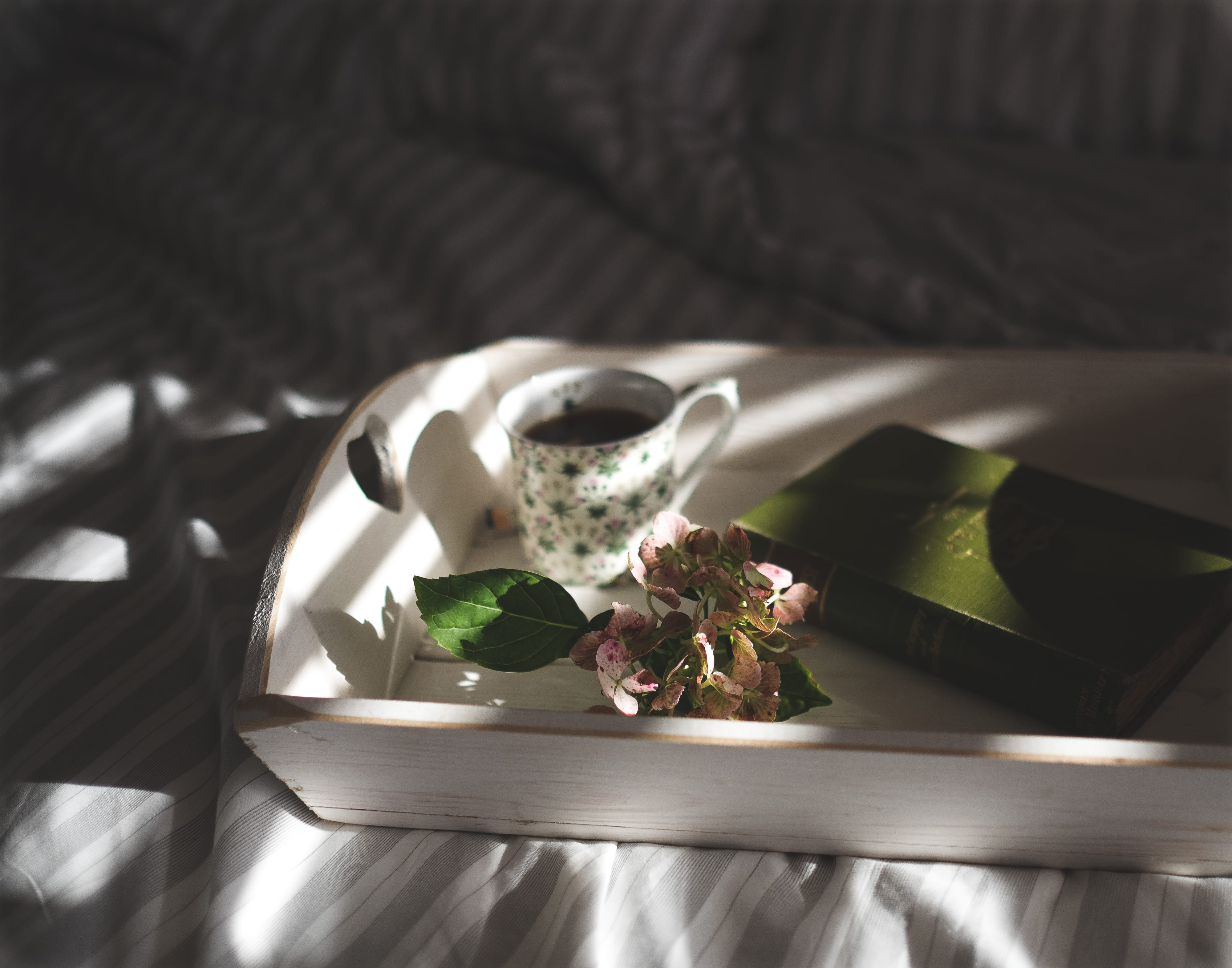 close-up, wooden, coffe, food and drink, fork, silverware, table, hydrangea, shadow, teacup, studio shot, green coffee, green, pink, freshness, cup, sweet food, HD Wallpaper