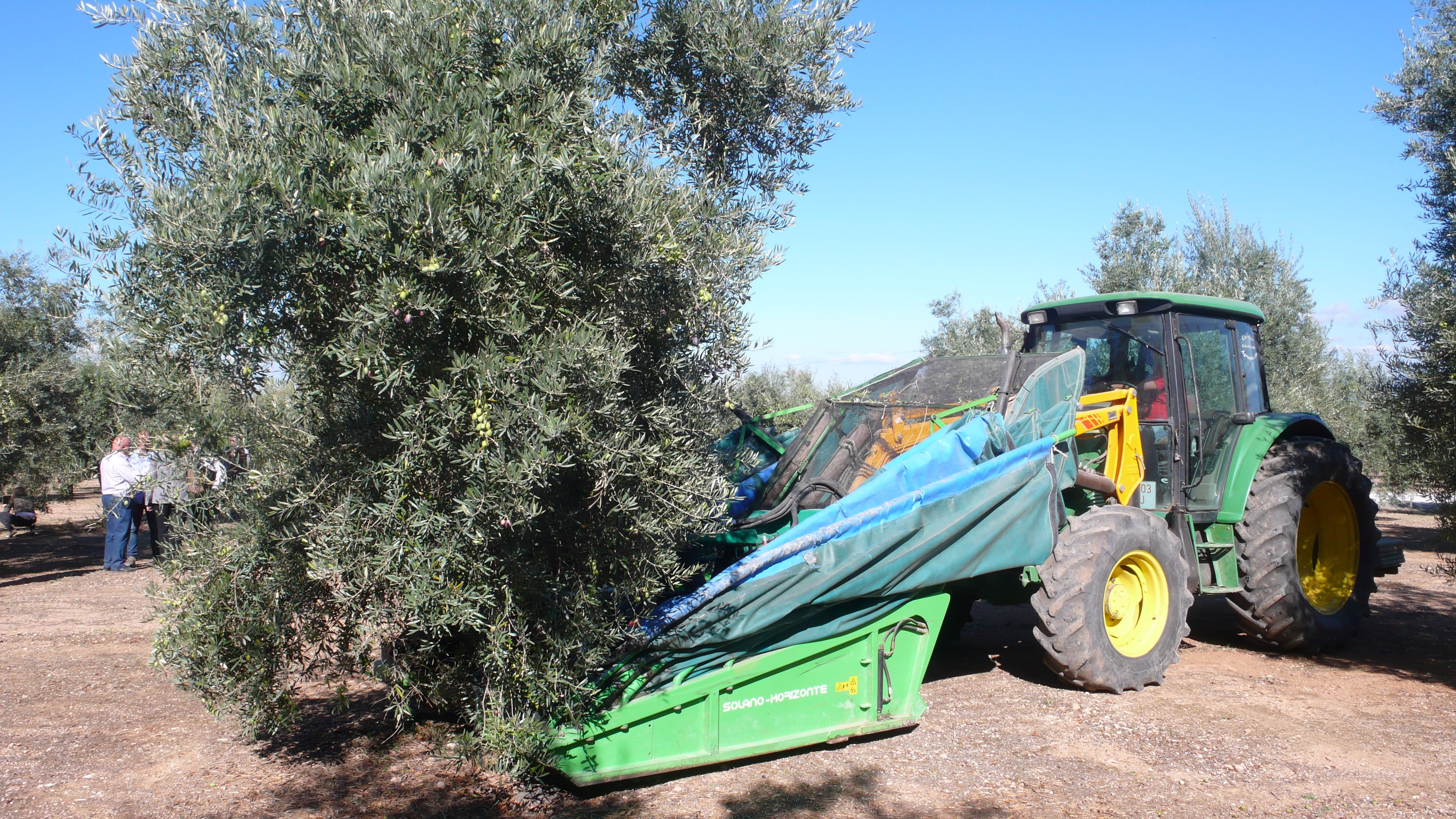 land, no people, mode of transportation, sky, stationary, plant, olives, travel, jaén, harvest, sunlight, tree, land vehicle, nature, day, transportation, HD Wallpaper