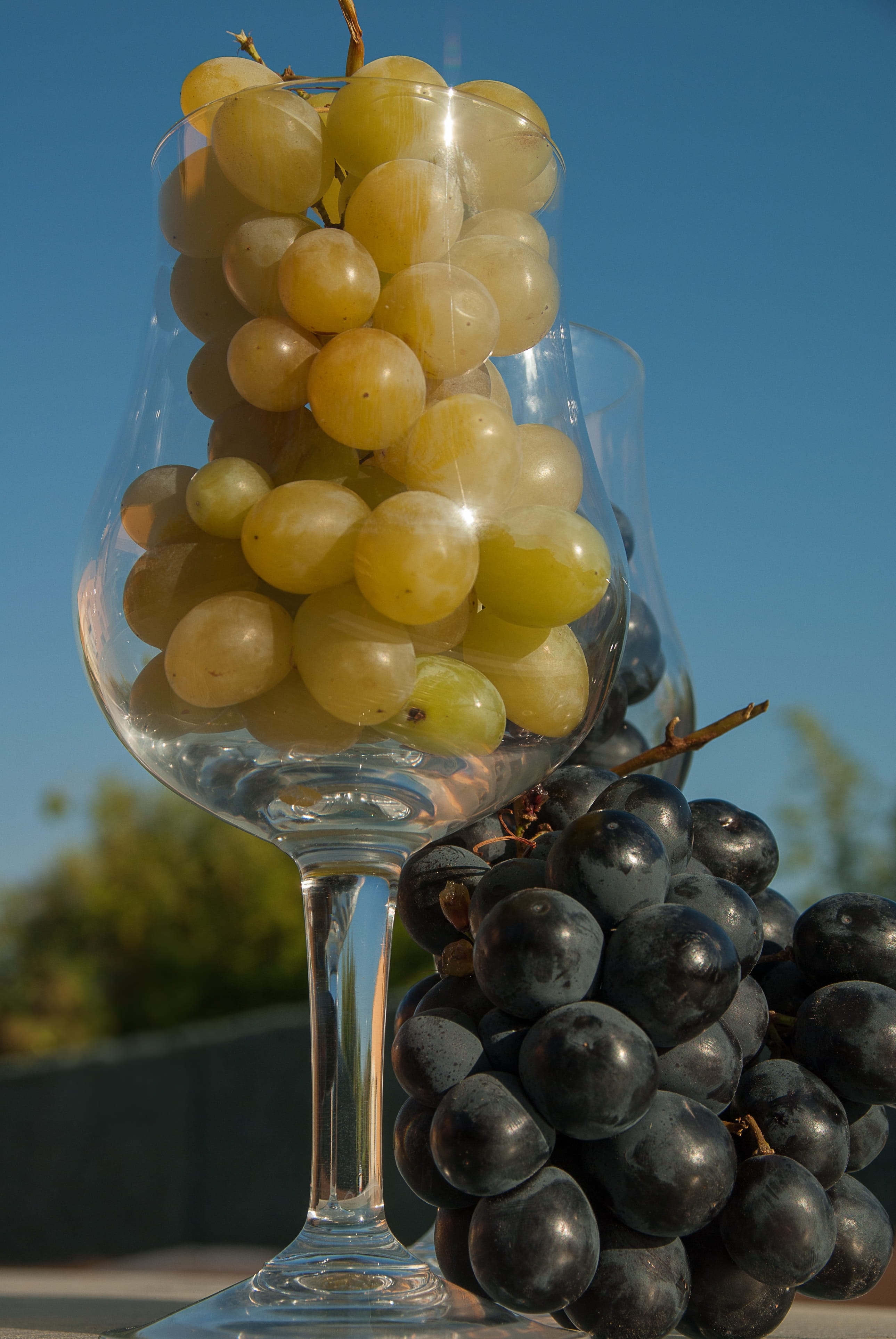 blue, healthy eating, sky, 4K, alcohol, freshness, still life, fruit, ripe, abundance, food and drink, nature, drink, orange, wellbeing, grape, Black Grape, Phone HD Wallpaper