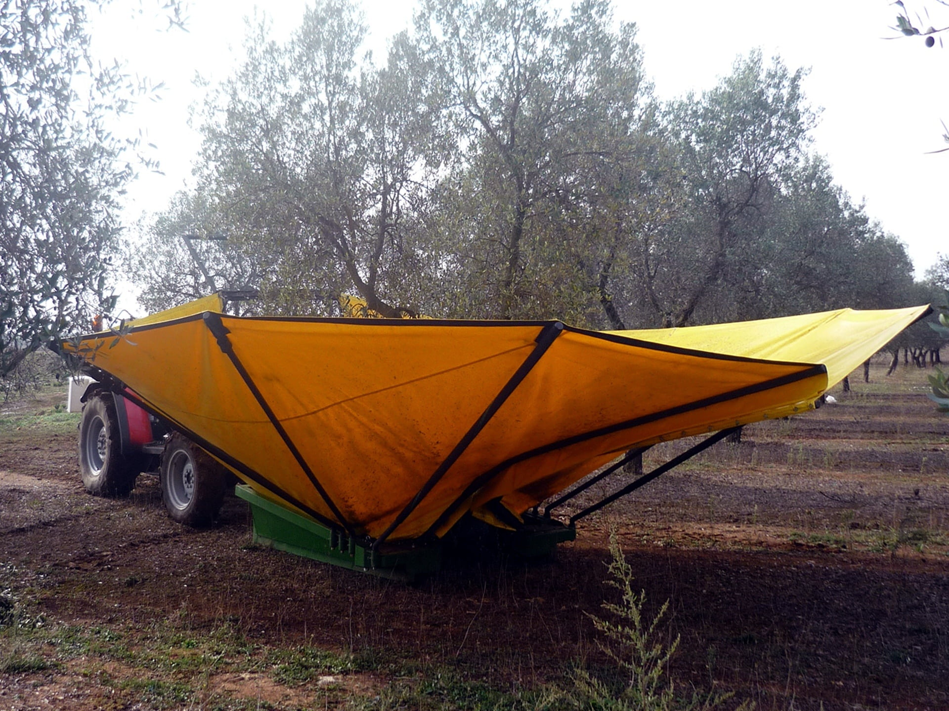 forest, protection, day, olives, outdoors, olive grove, harvesting olives, umbrella, transportation, orange color, no people, sky, tractor, mode of transportation, HD Wallpaper