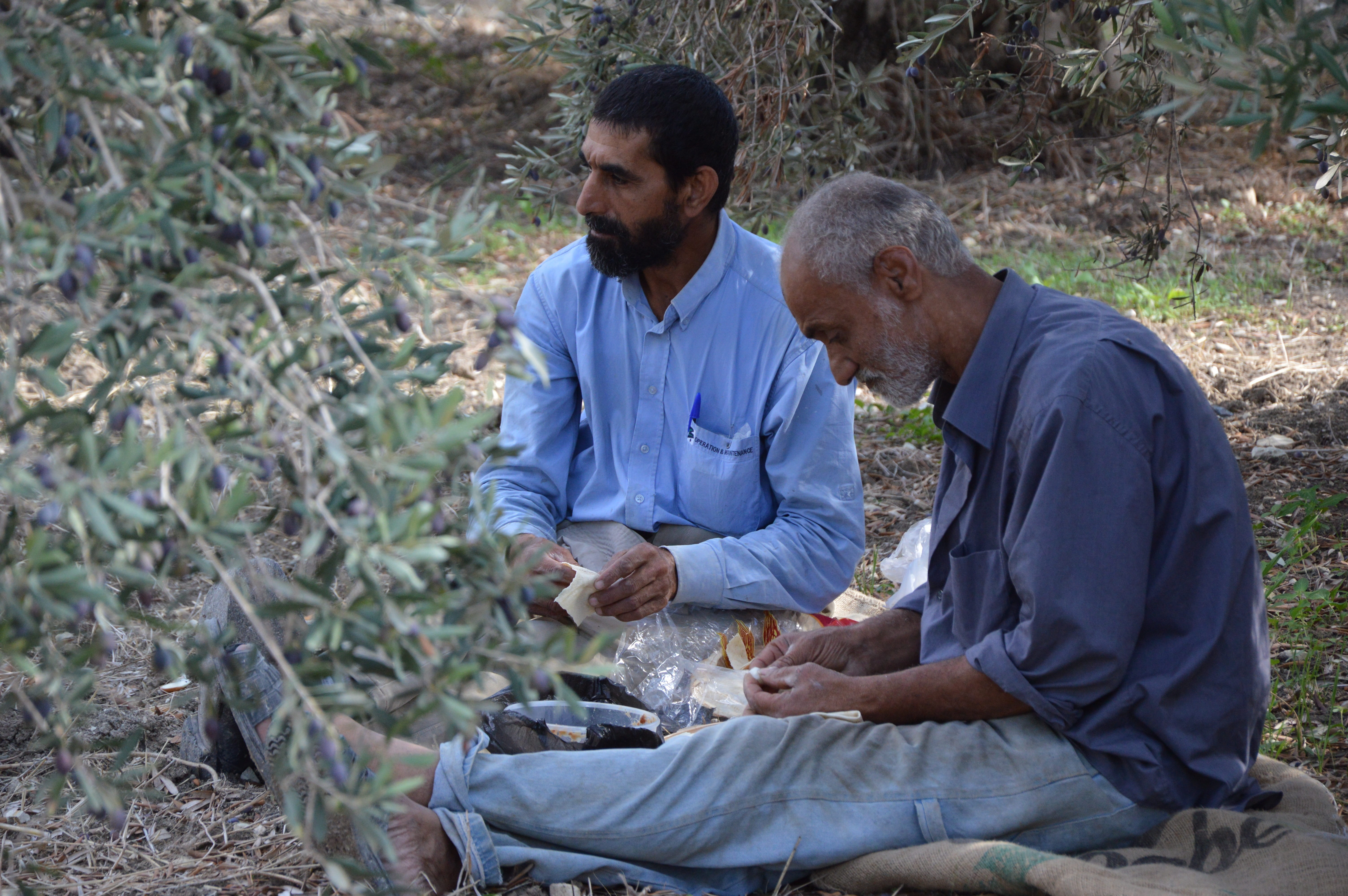 day, togetherness, sitting, males, refugees, care, senior adult, 5K, plant, help, ground, nature, lebanon, two, occupation, young men, harvest, syria, HD Wallpaper