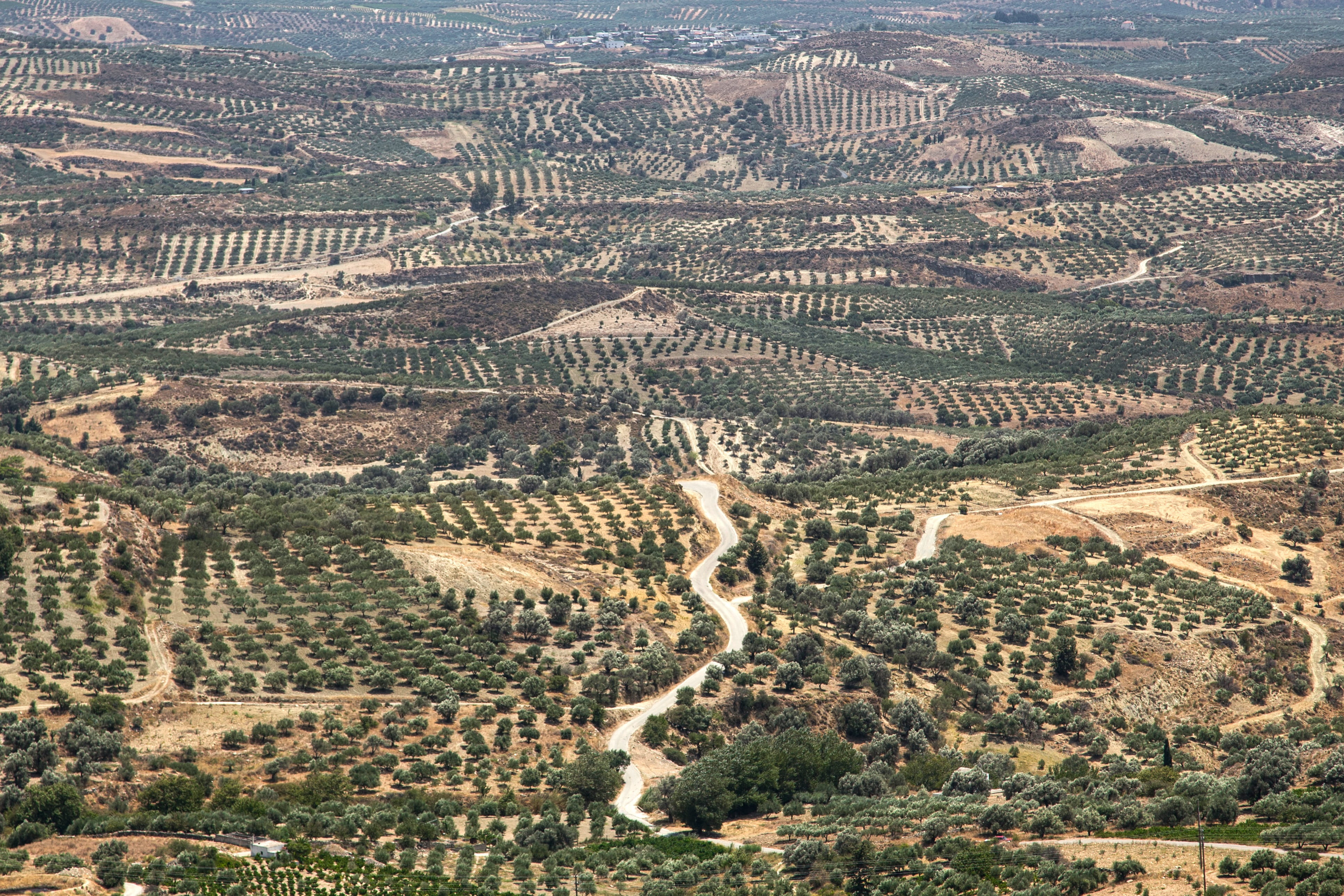 no people, horizon, rural, inland, beautiful landscape, countryside, scenic, green, landscapes, aerial view, dry, sunlight, scene, growth, grece, mediterranean, HD Wallpaper