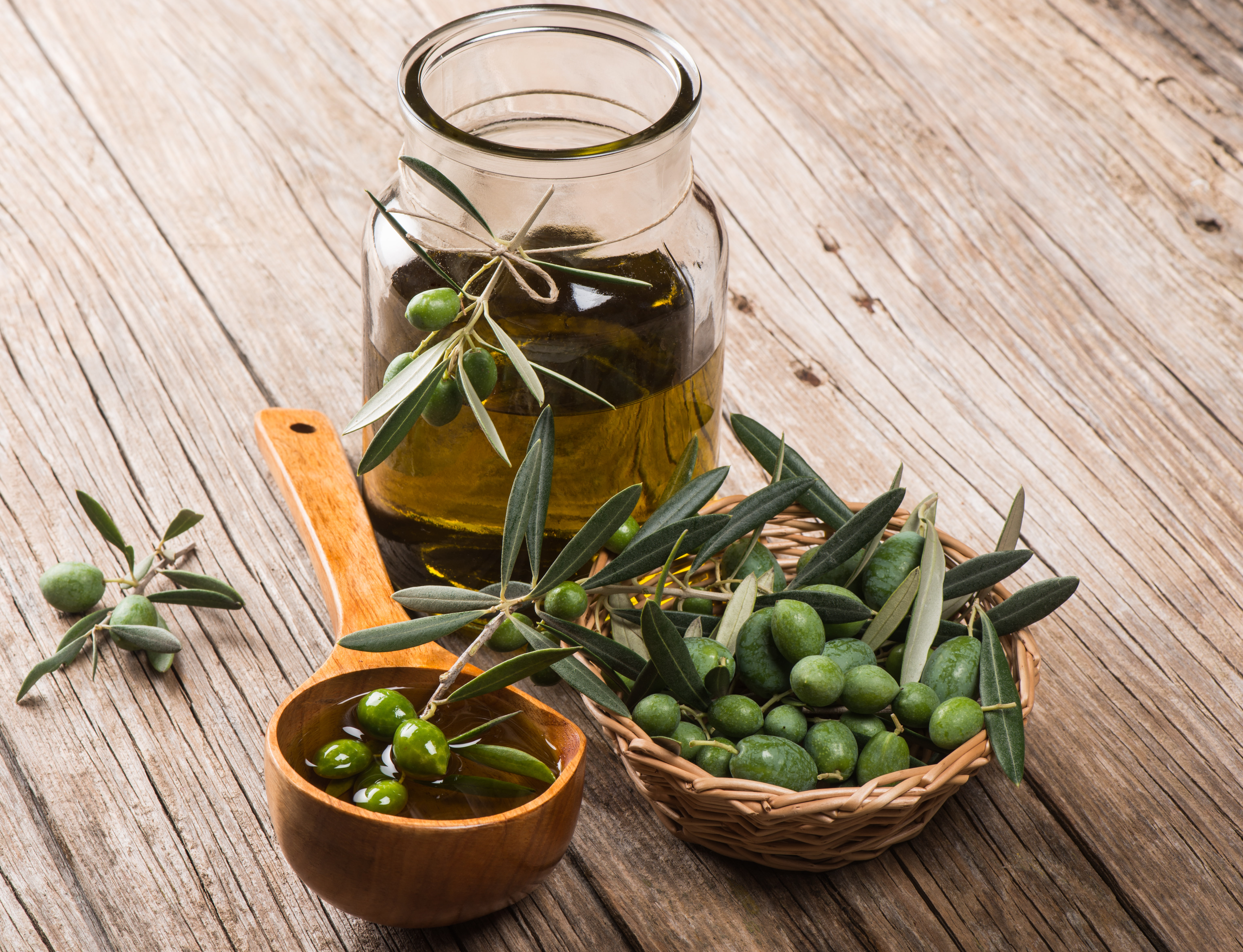 olives, twigs, 5K, leaves, oil, HD Wallpaper