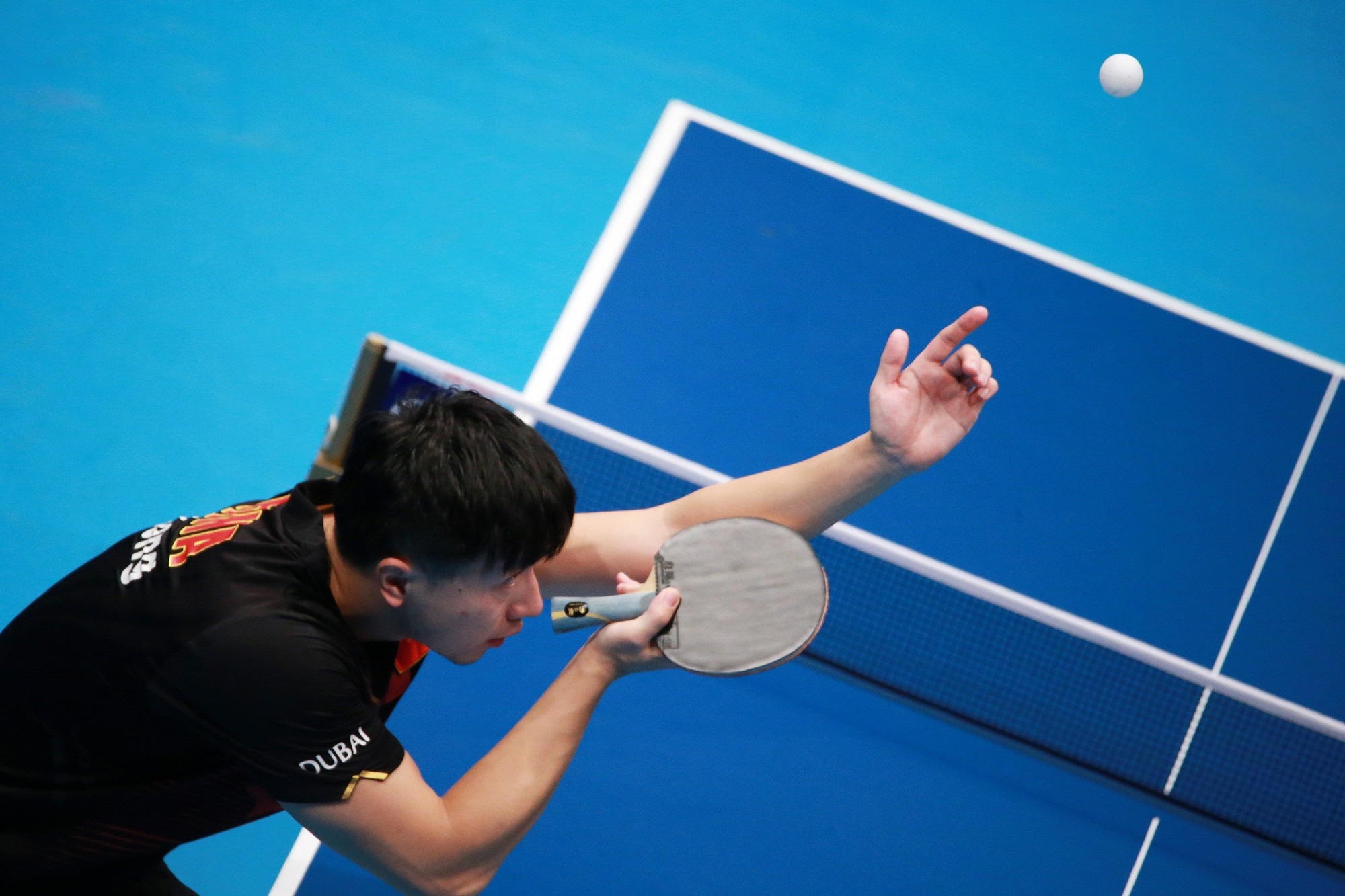 leisure activity, court, sport, black, young adult, competitive sport, playing, shirt, outdoors, one person, adult, competition, table tennis, men, day, HD Wallpaper