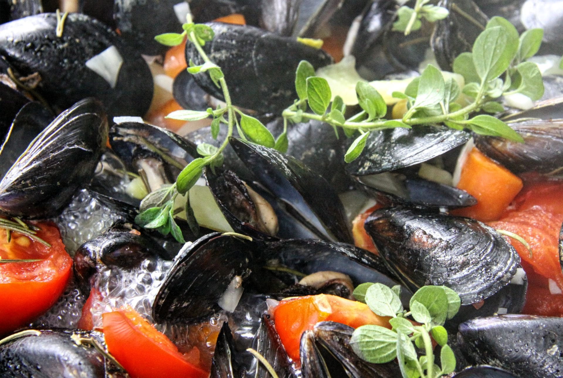 1080P, water, animal wildlife, freshness, healthy eating, orange color, cuisine, food and drink, animal, seafood, day, close-up, mussel, wellbeing, high angle view, HD Wallpaper