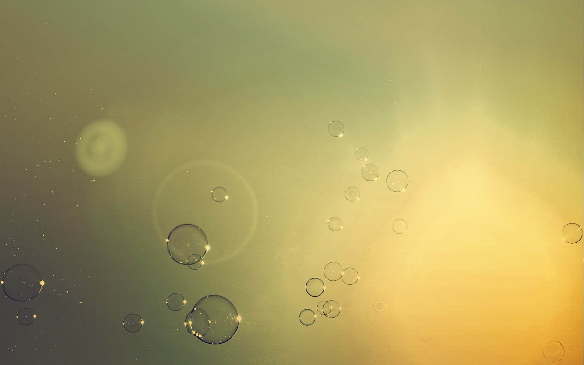 circle, cooking oil, bubble, bubbles, 1080P, refreshment, wet, transparent, geometric shape, close-up, water, design, abstract, backgrounds, food and drink, HD Wallpaper