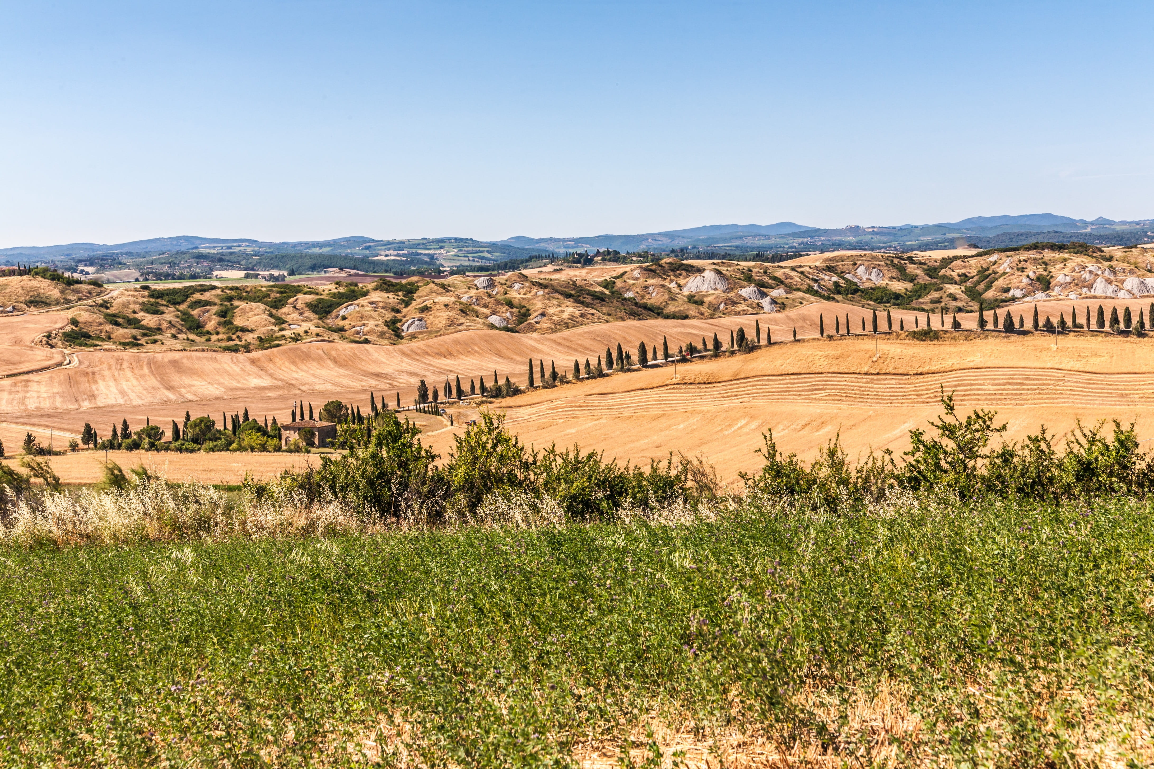 Italy, plant, Tuscany, semi-arid, no people, photography, beauty in nature, desert, tranquility, summer, arid climate, day, environment, Crete Senesi, climate, HD Wallpaper