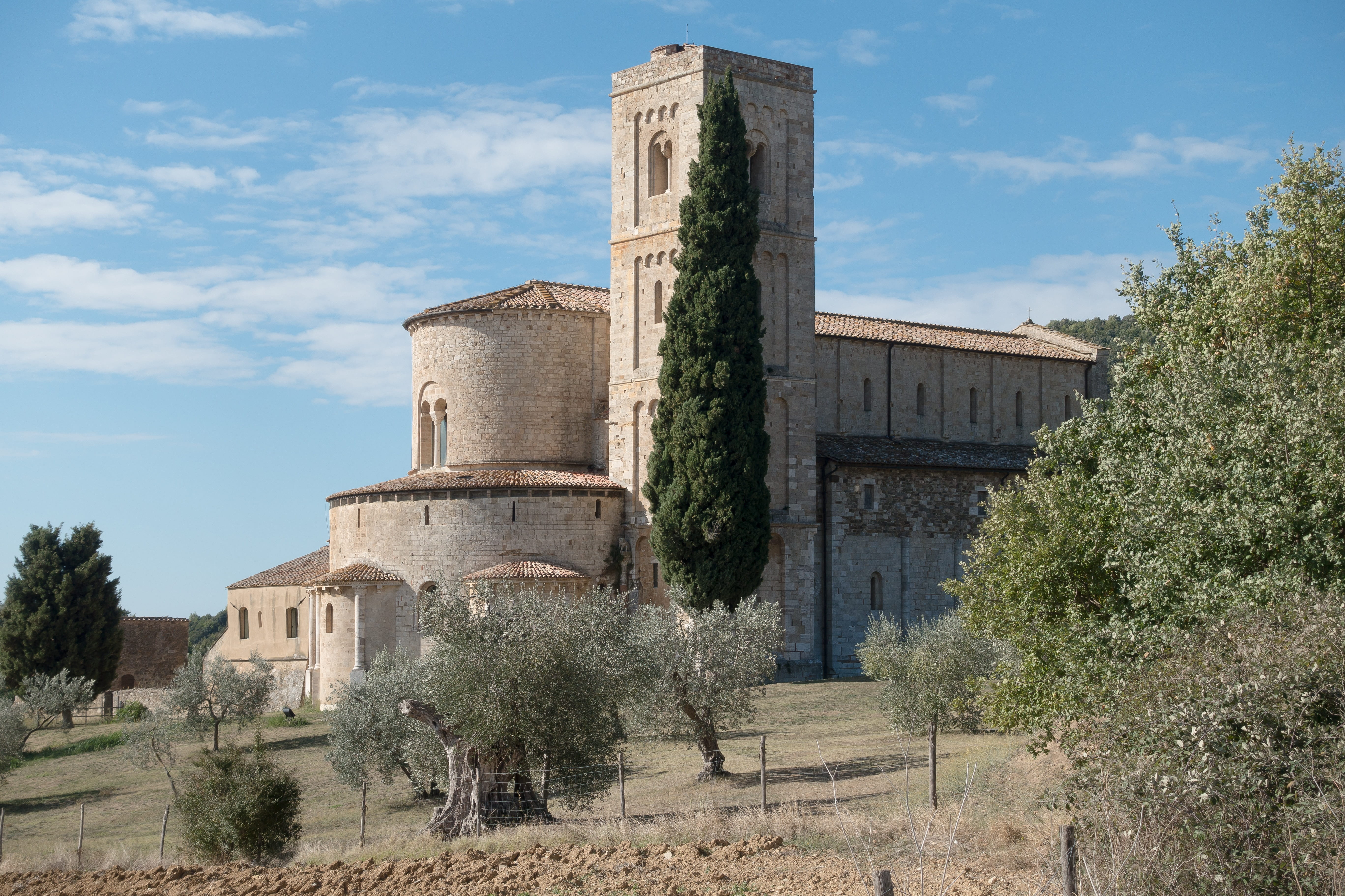 abbey, building exterior, monastery, cypress, tree, land, tuscany, olive tree, italy, 5K, montalcino, growth, church, sky, ruined, old, san antimo, sunlight, HD Wallpaper