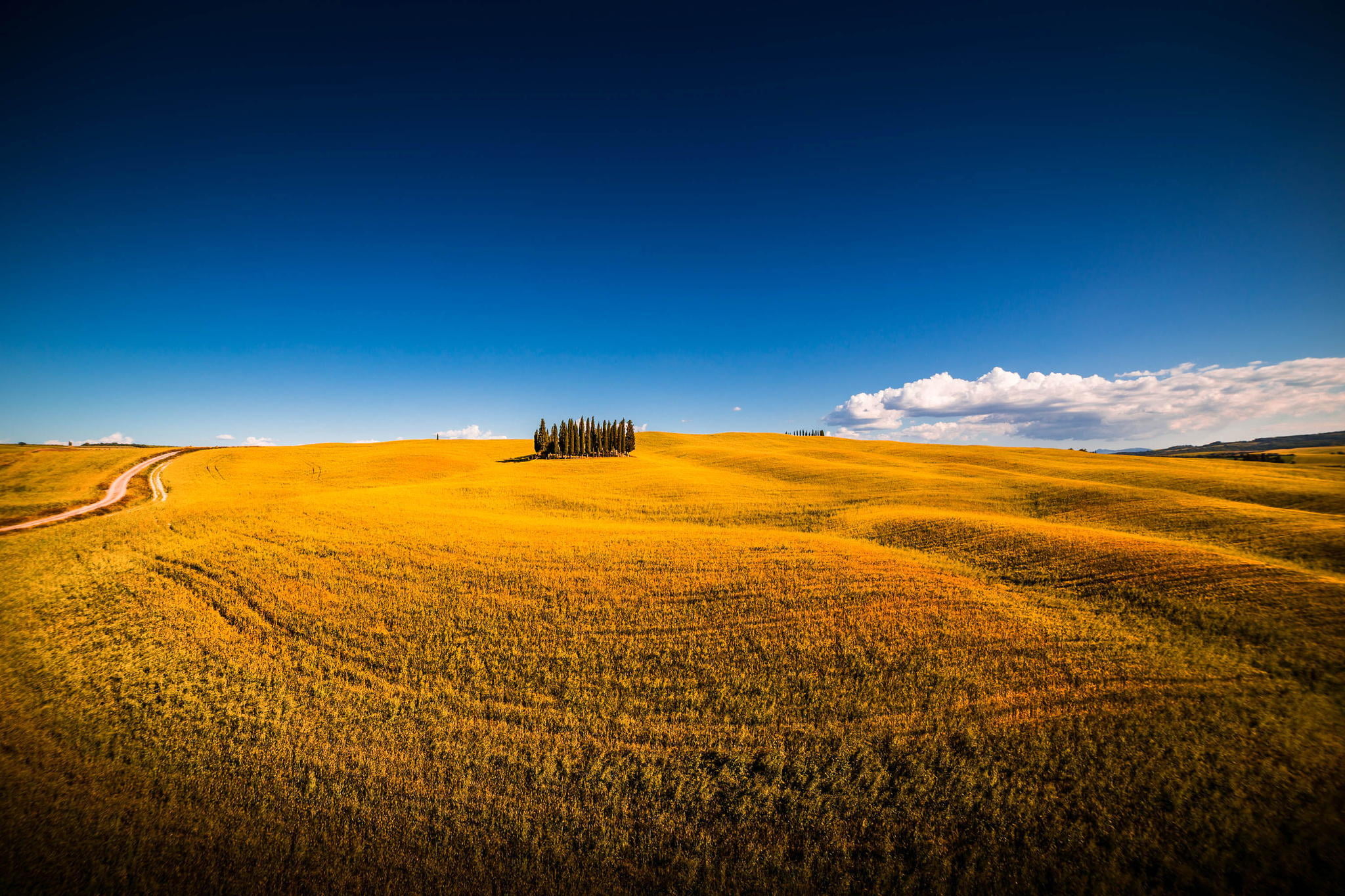 no people, tranquil scene, agriculture, tranquility, idyllic, landscape, outdoors, italy, san quirico dorcia, farm, land, the sky, day, beauty in nature, HD Wallpaper