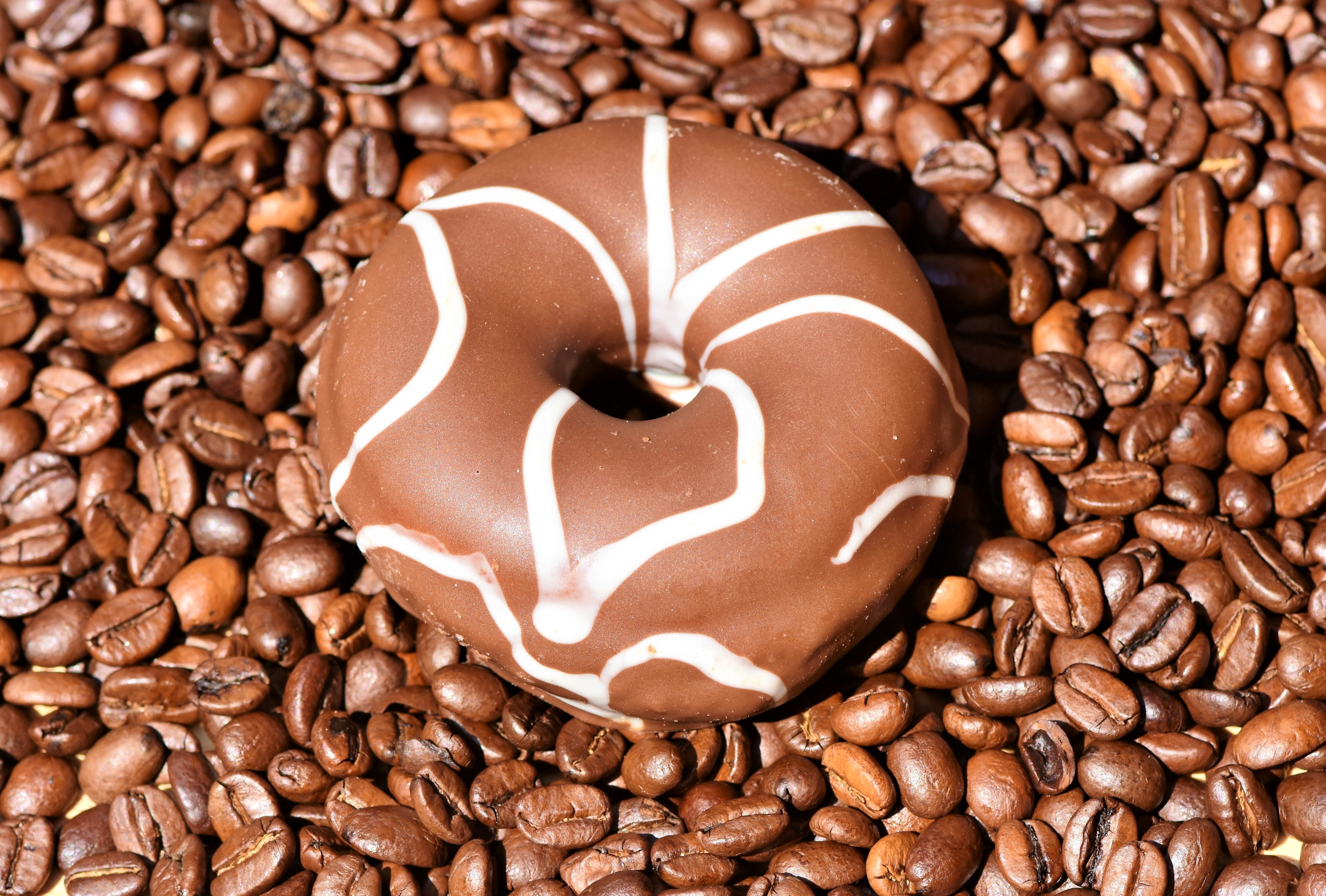 high angle view, indoors, usa, emotion, sweet, glaze, food and drink, bakery, eat, directly above, chocolate, freshness, baked, coffee beans, food, heart shape, HD Wallpaper