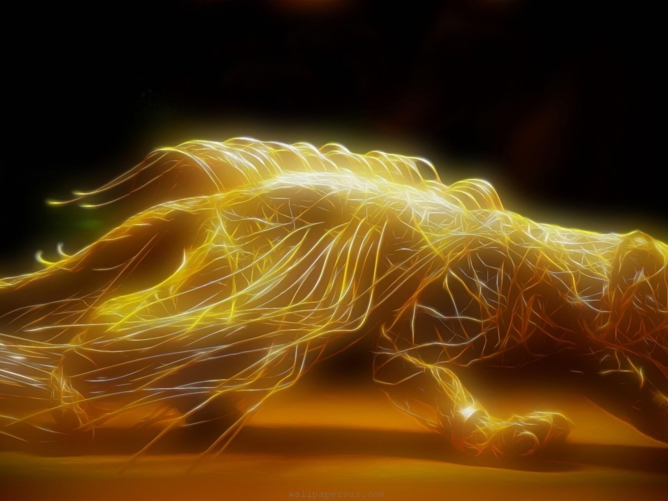 cat, glow, 2K, glow day, glow in the dark, glow art, cw, fan, art, hd glow, glow hd, HD Wallpaper