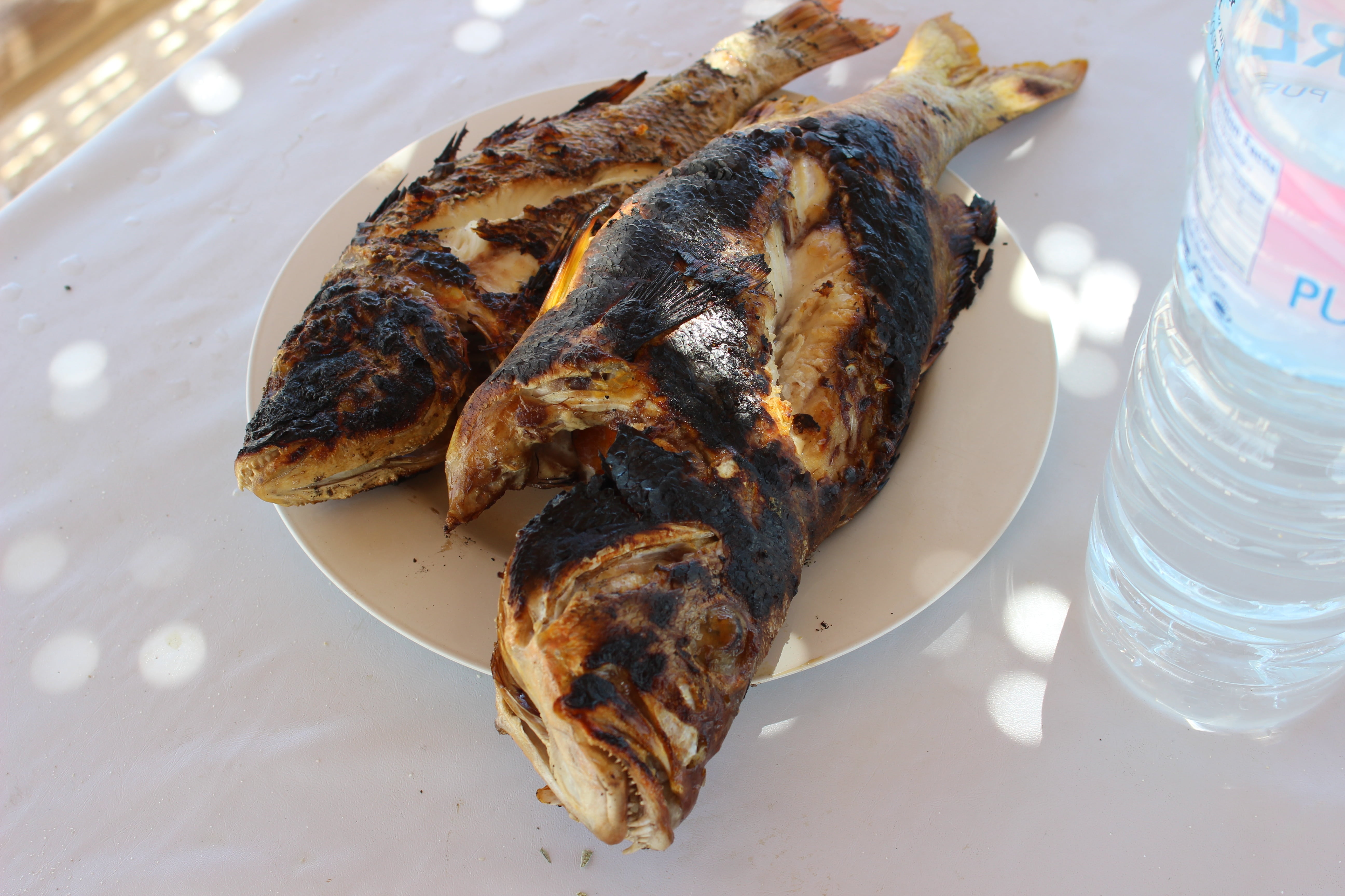 serving size, indulgence, fresh, close-up, dinner, vertebrate, fish, high angle view, wellbeing, grilled, delicious, temptation, grilled fish, ready-to-eat, HD Wallpaper