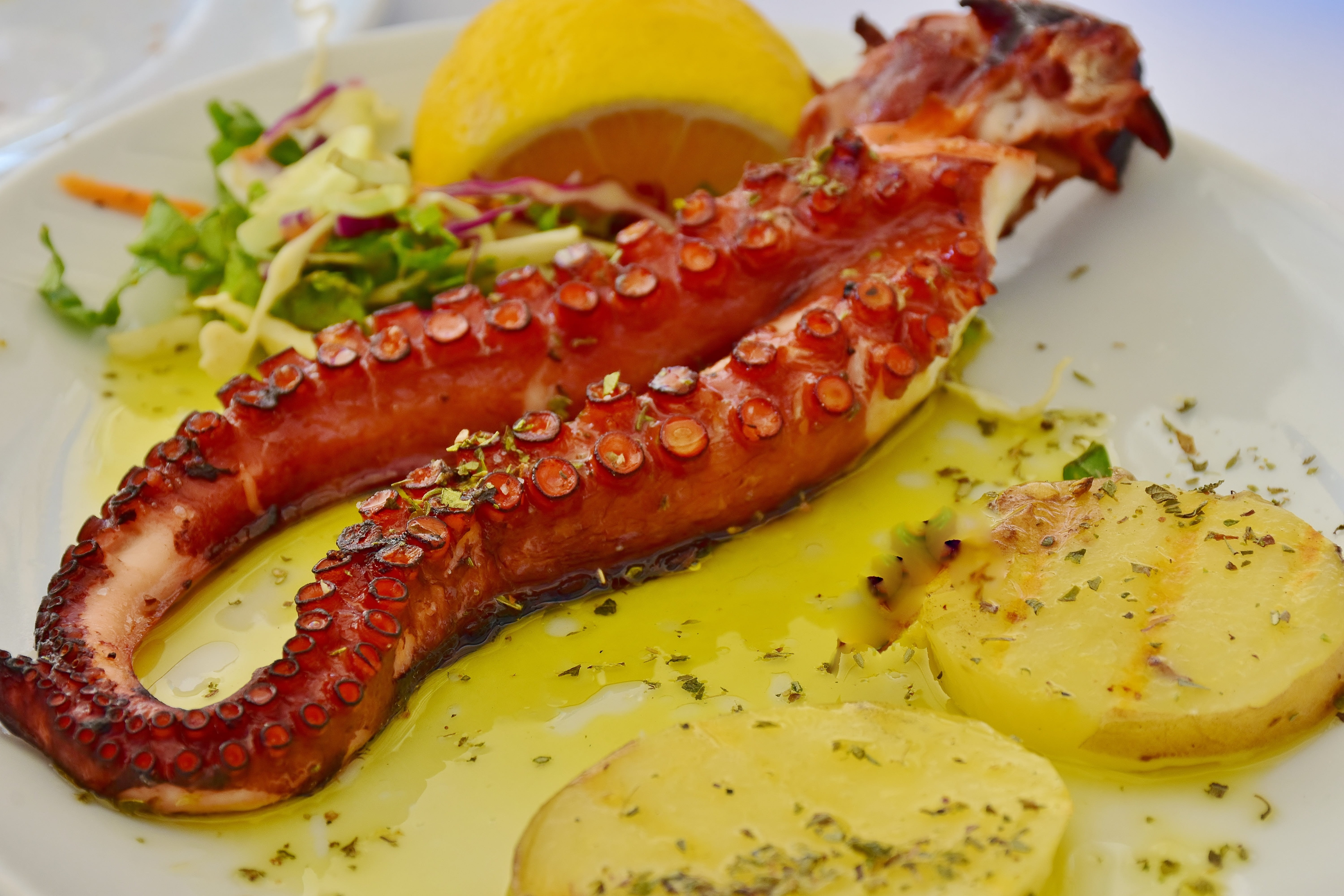 octopus, healthy eating, vegetable, barbecue, mustard, no people, breakfast, meat, tasty, sausage, tentacle, meal, serving size, healthy, fish market, from the grill, HD Wallpaper