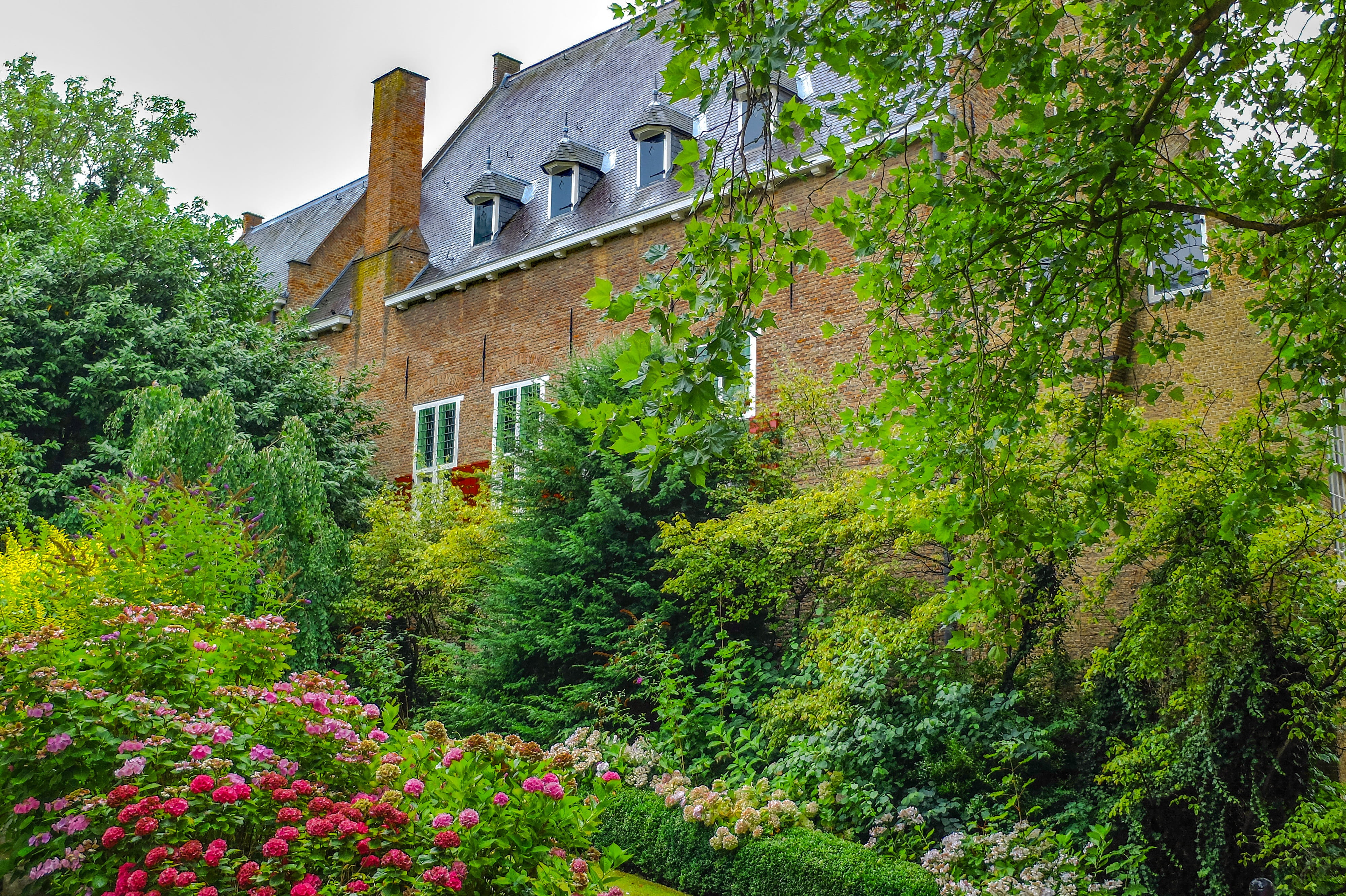 day, home, nature, house, tree, flowers, building exterior, netherlands, luxurious vegetation, 4K, green color, residential district, holland, gouda, ancient, HD Wallpaper