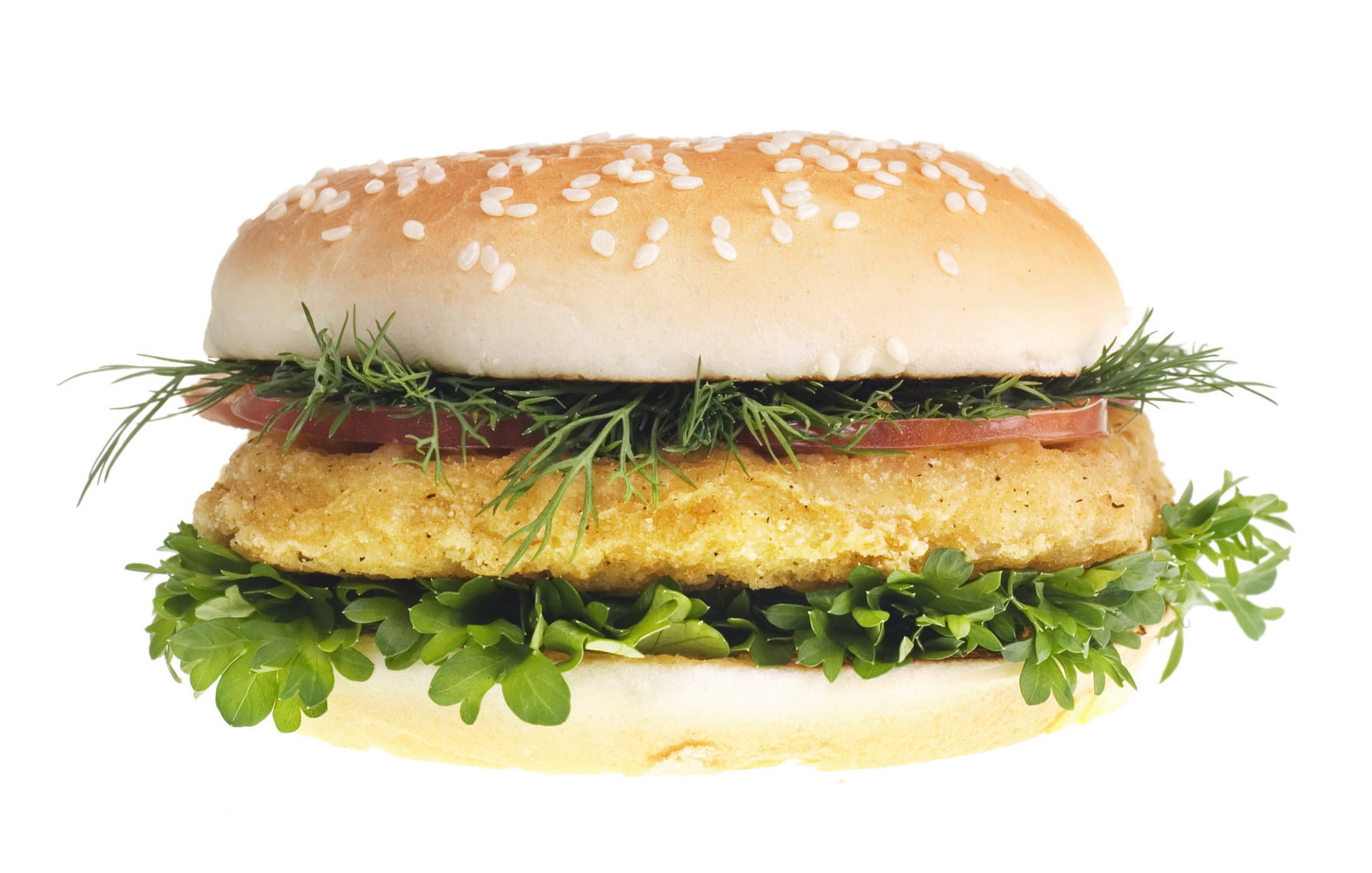 studio shot, sauce, grilled, hamburger, lettuce, salad, nutrition, icon, closeup, color, close-up, white background, take out food, cut out, bun, mayonnaise, HD Wallpaper
