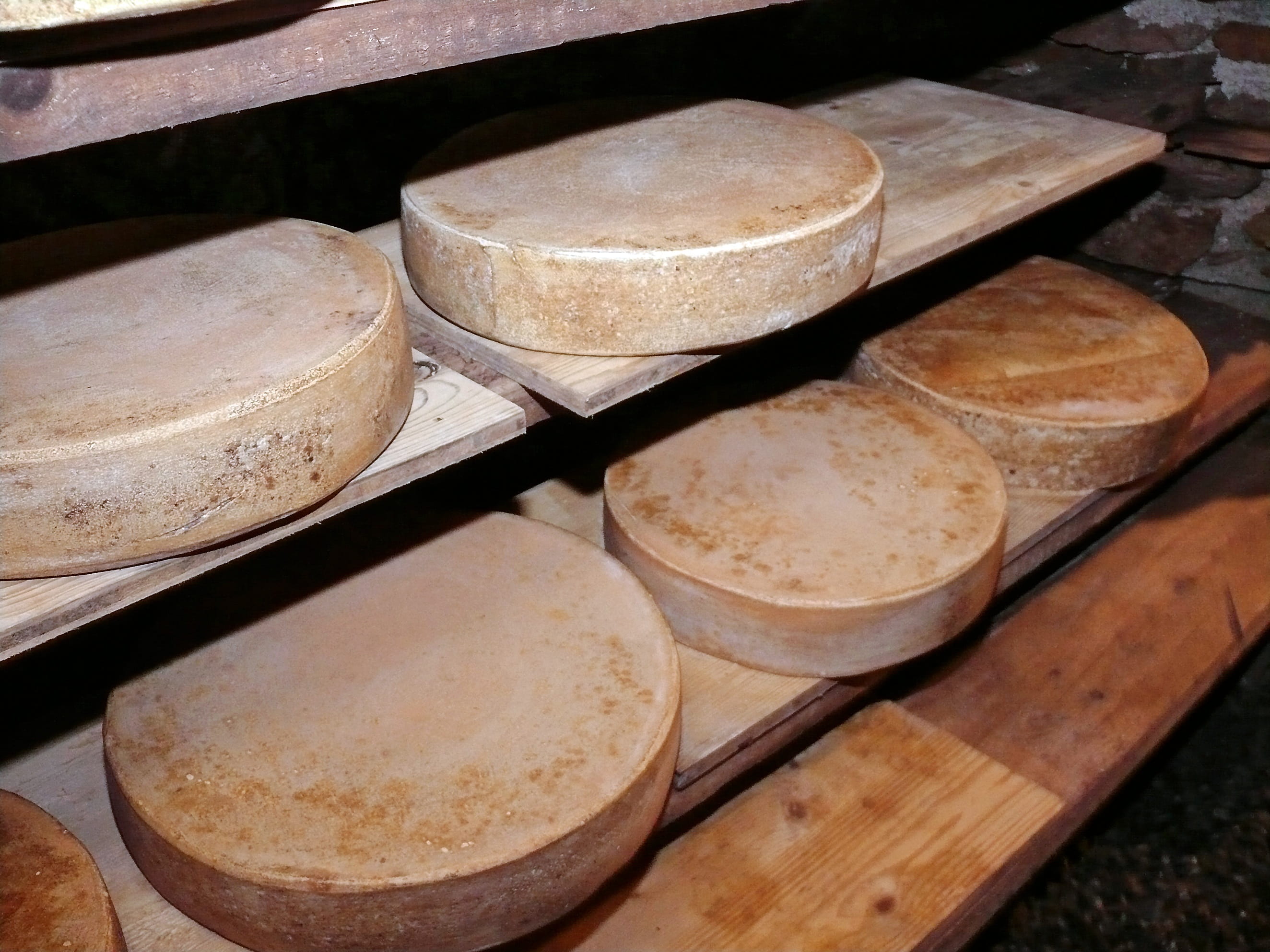 retail, large group of objects, food, business, cows milk cheese, close-up, raw milk cheese, high angle view, brown, wooden, shelf, eat, food and drink industry, HD Wallpaper