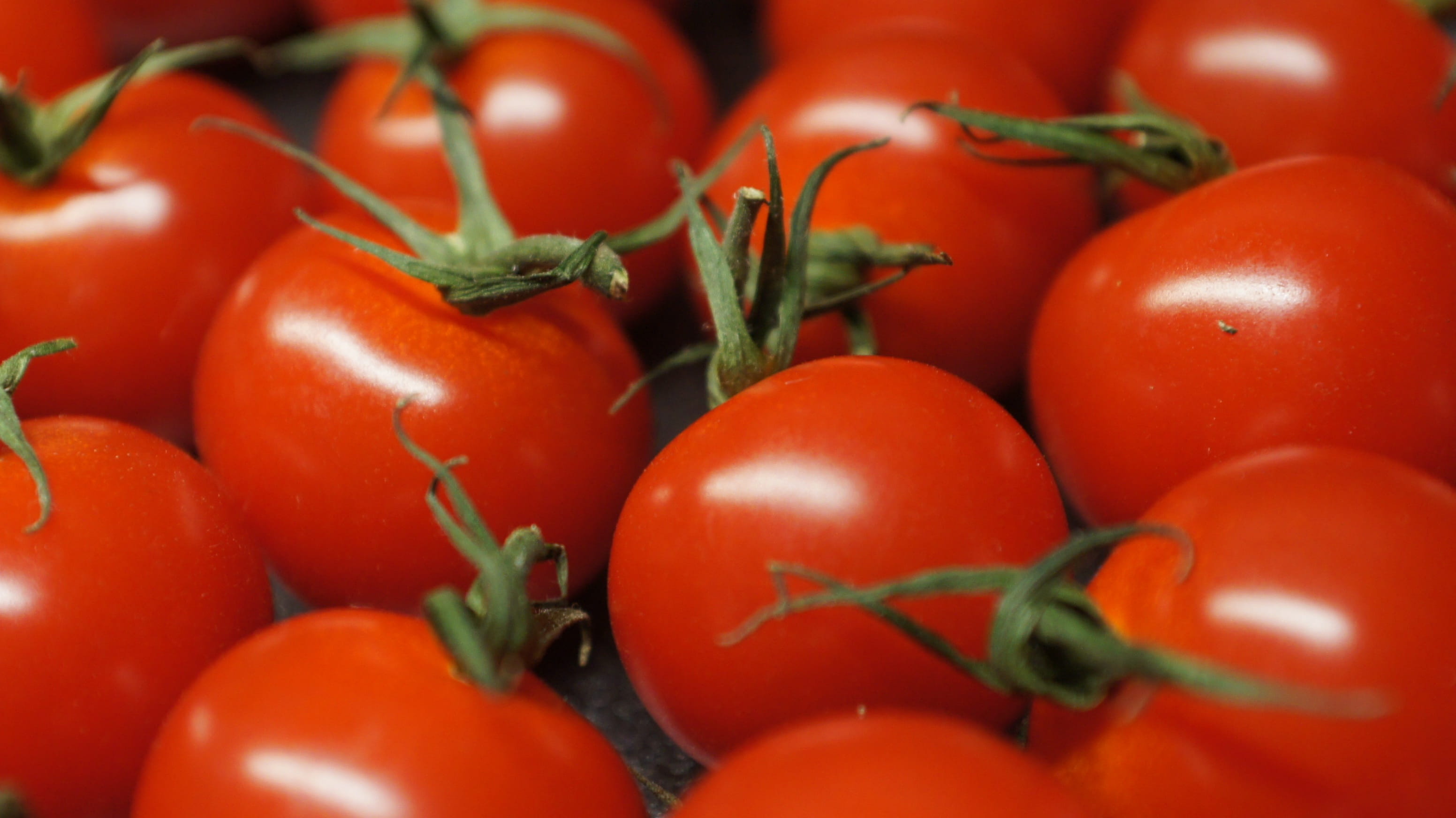 pizza, group of objects, ingredients, vegetarian, tomatoes, healthy, ripe, eat, vitamins, freshness, nature, bio, red, food, selective focus, garlic, wellbeing, HD Wallpaper
